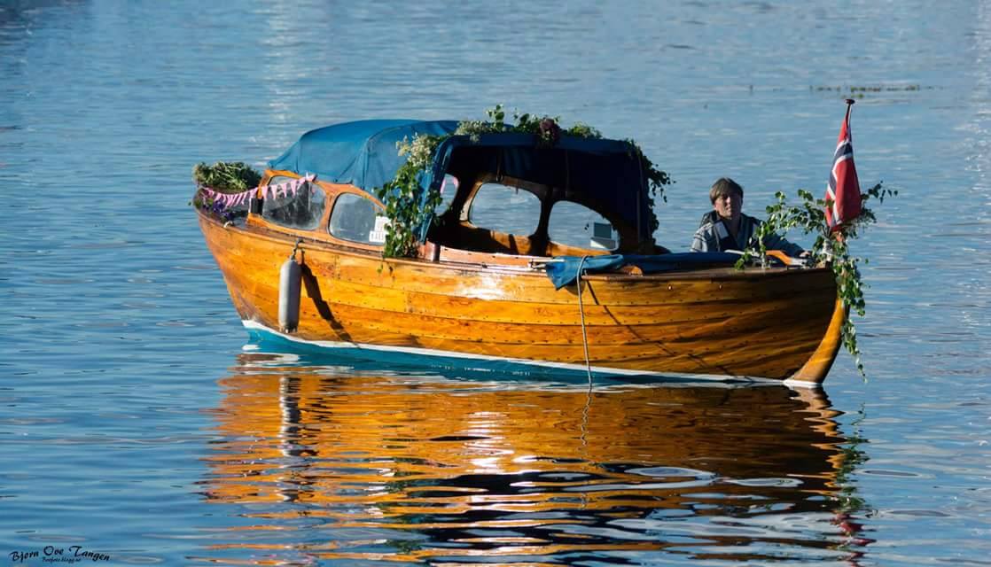 Tresnekke på vannet