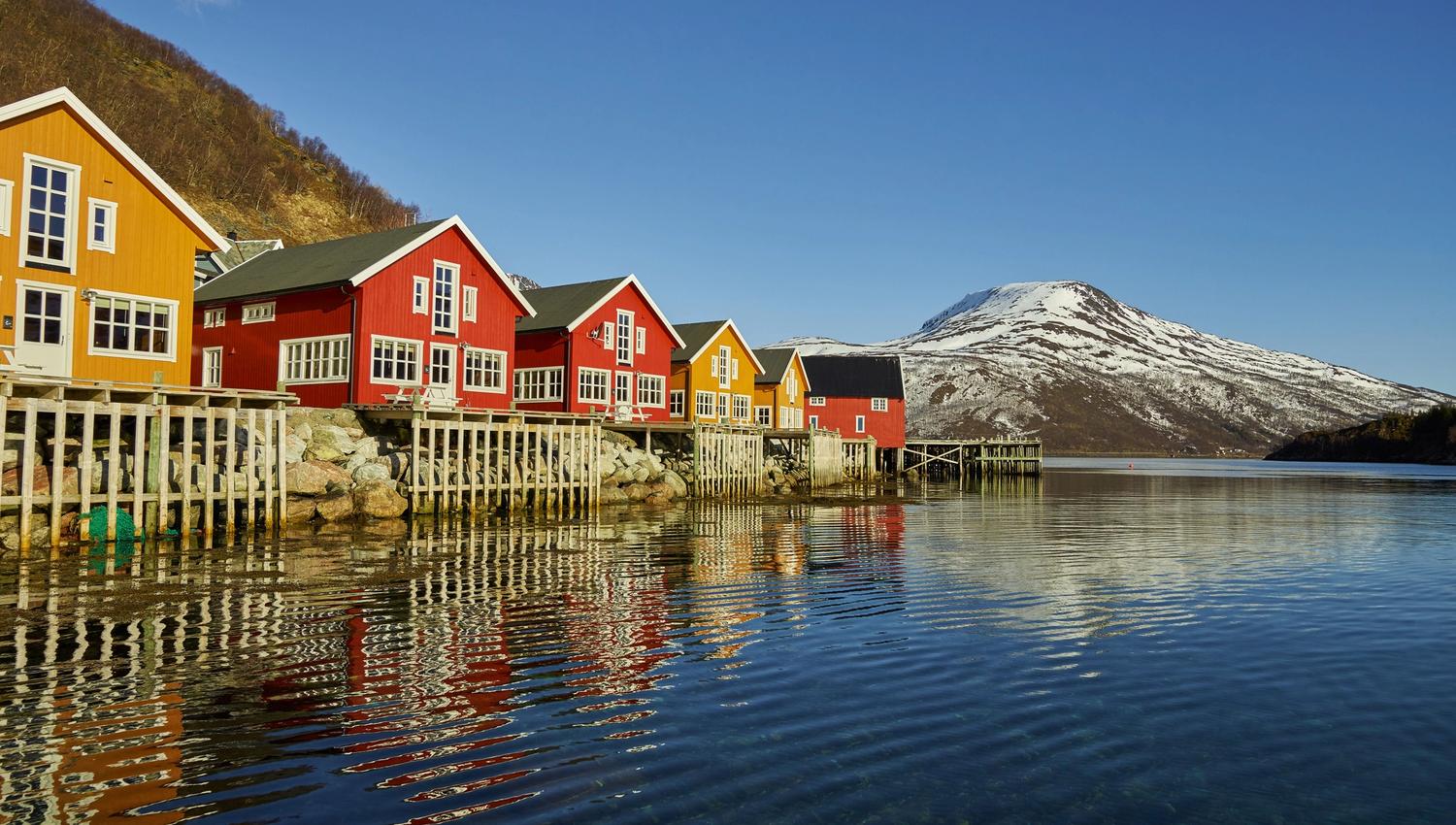 Lauklines in spring