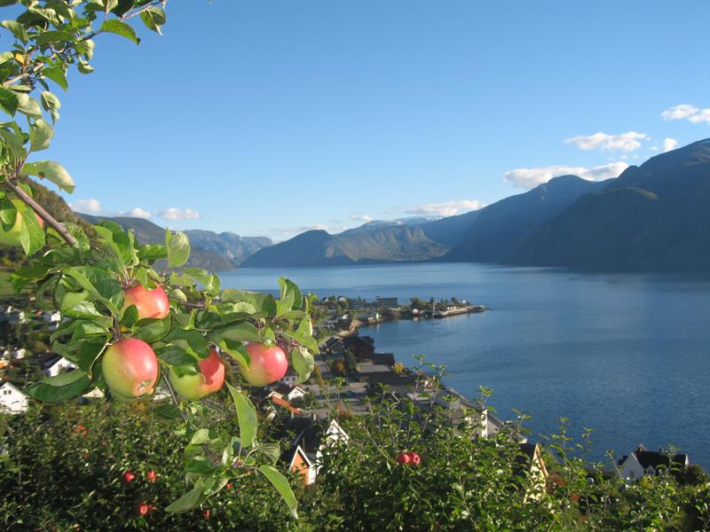 Henjatunet, Leikanger