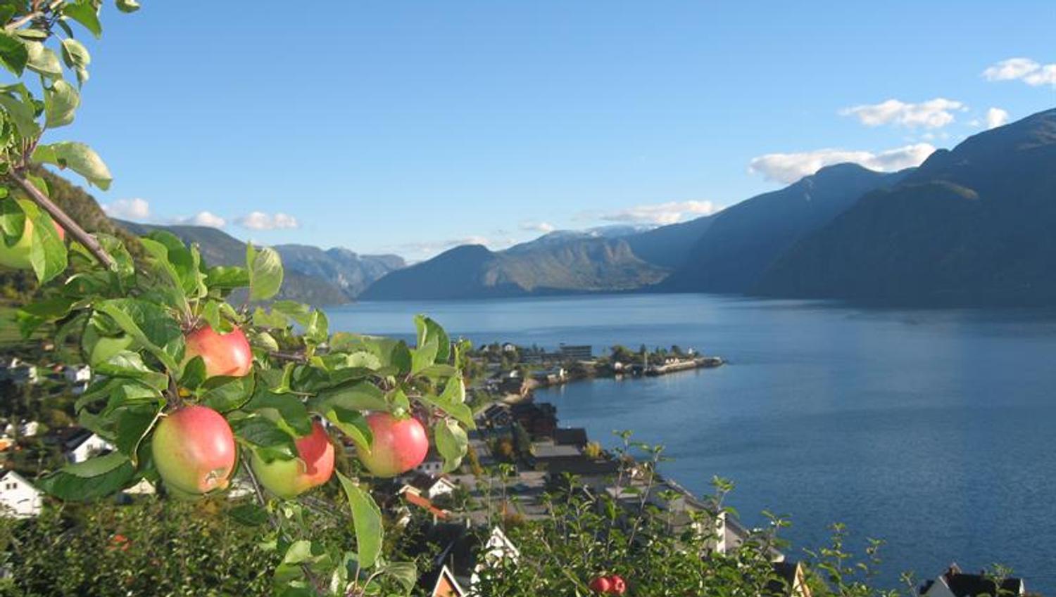 Henjatunet, Leikanger