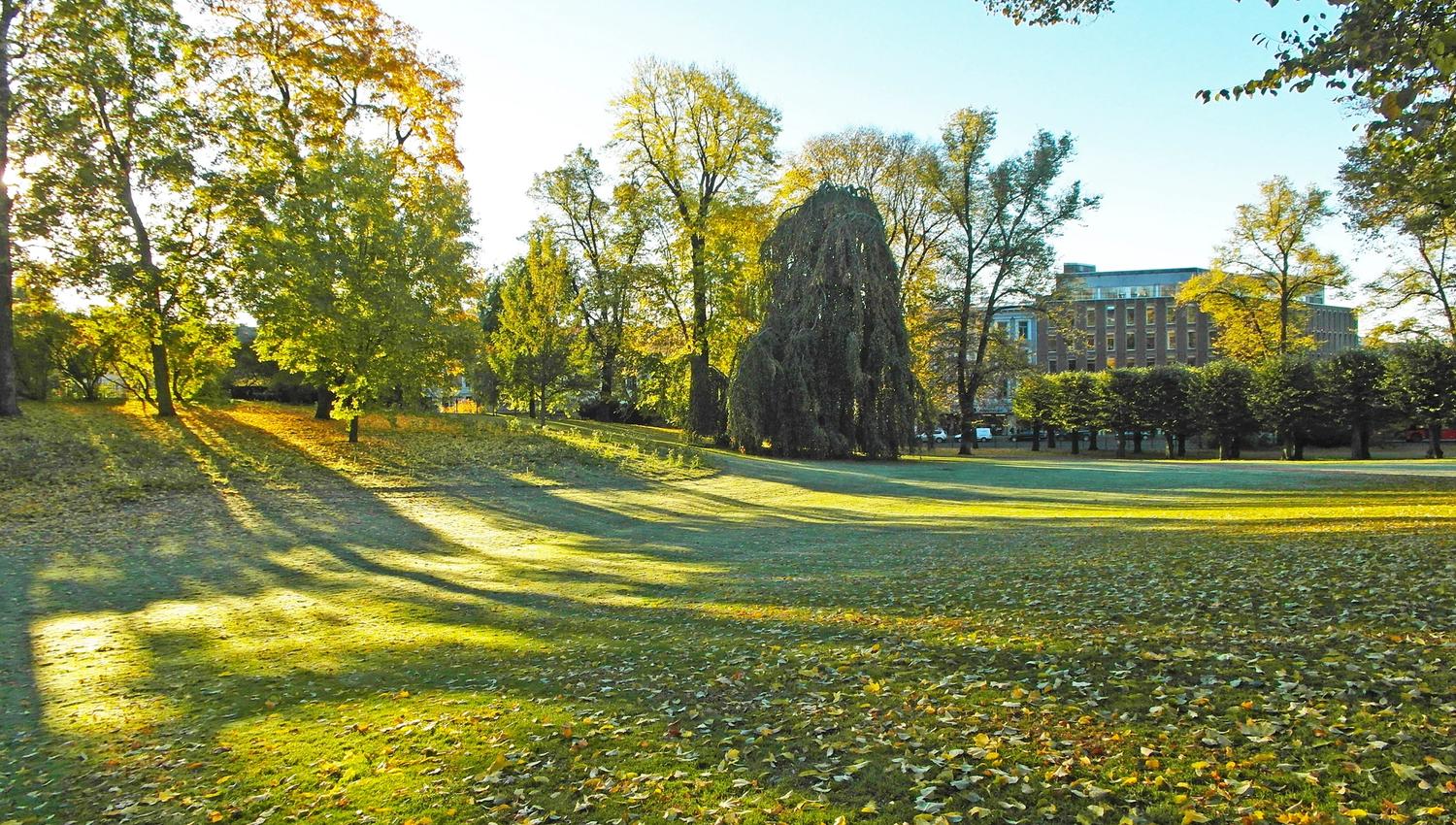 plen og trær i slottsparken