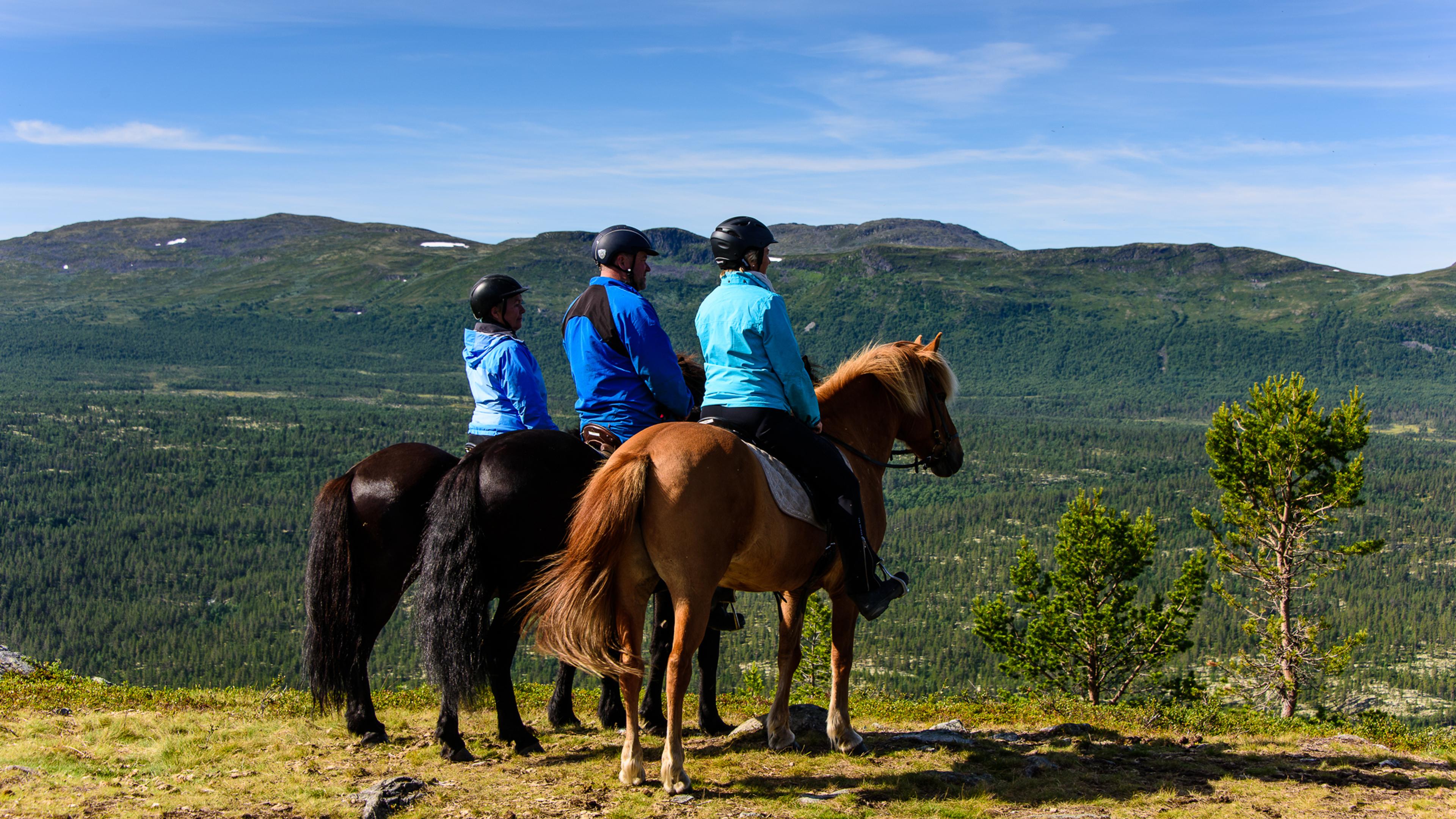 _IB81272-IanBrodie-VisitLillehammer