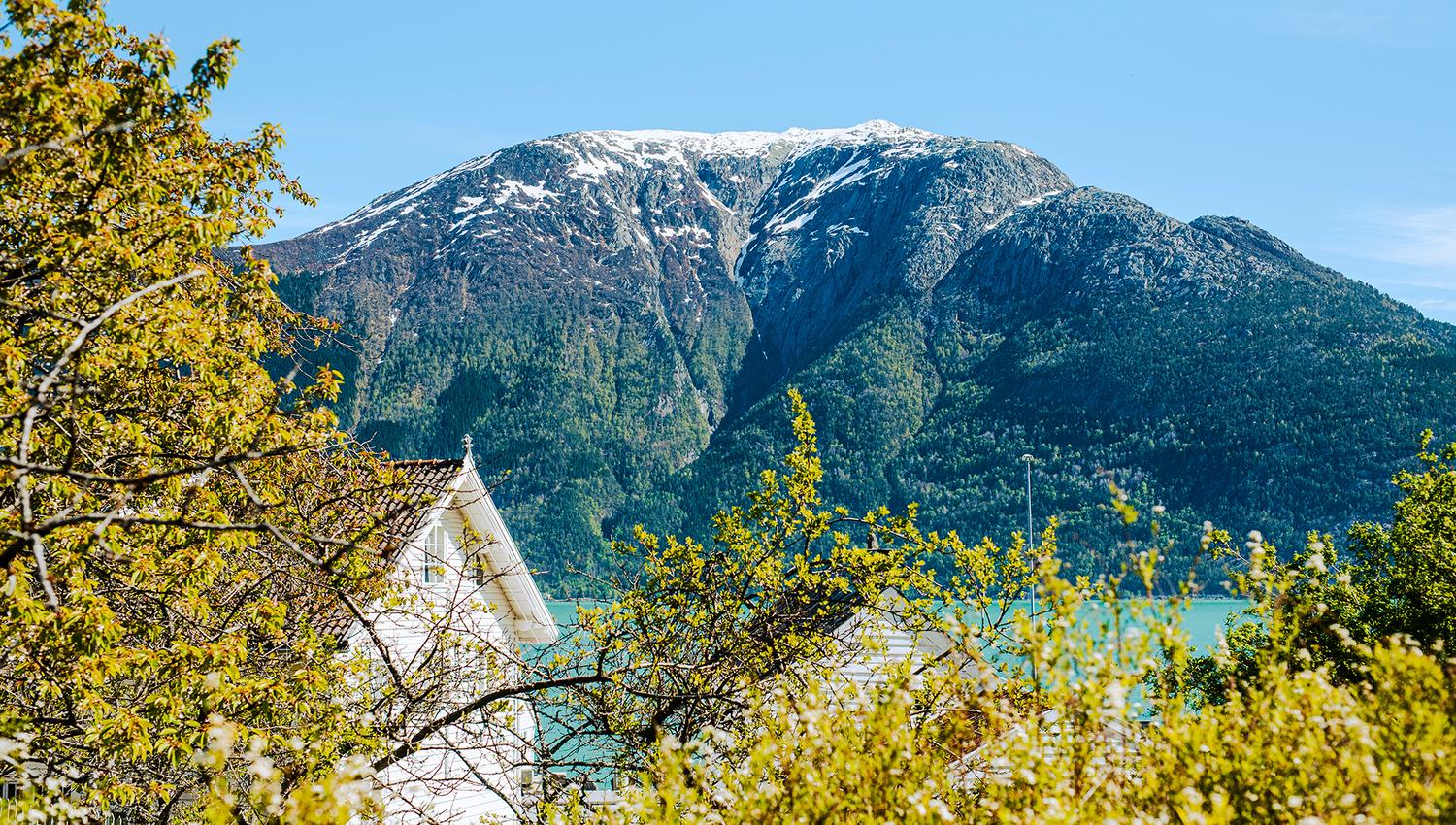 Stunning view of the Hardangerfjord, surrounded by blooming trees and majestic mountains.