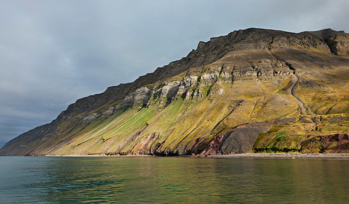 Mountain sides with green vegetation and bird cliffs high up in the mountains, with a shoreline and fjord in the foreground 