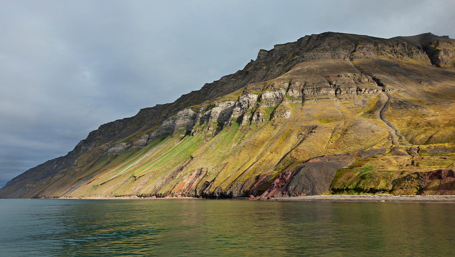 Mountain sides with green vegetation and bird cliffs high up in the mountains, with a shoreline and fjord in the foreground