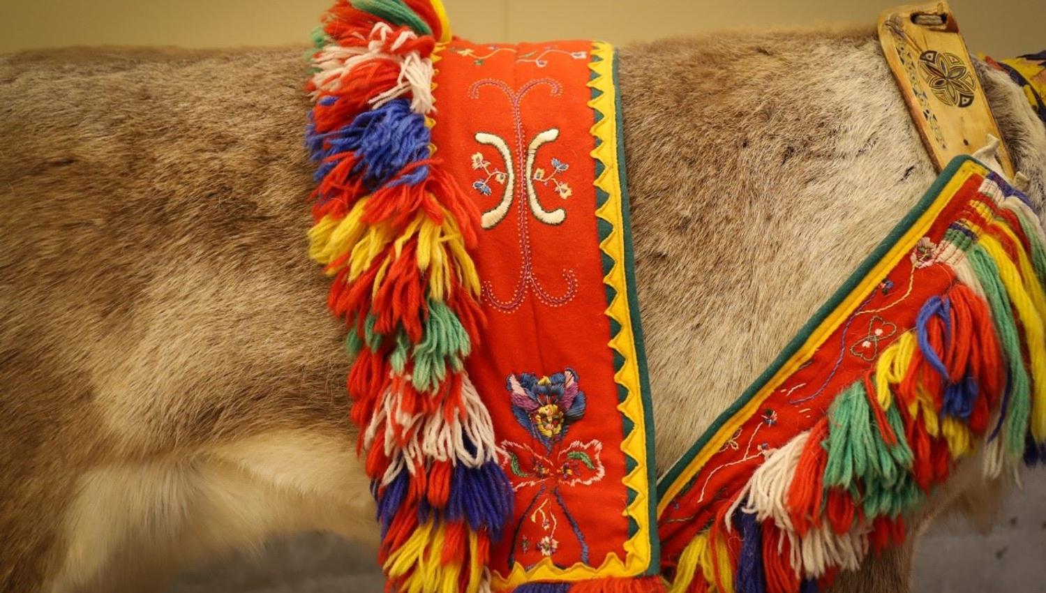 Håndlaget og dekorert seletøy til reinsdyr, i SVDs permanente utstilling.