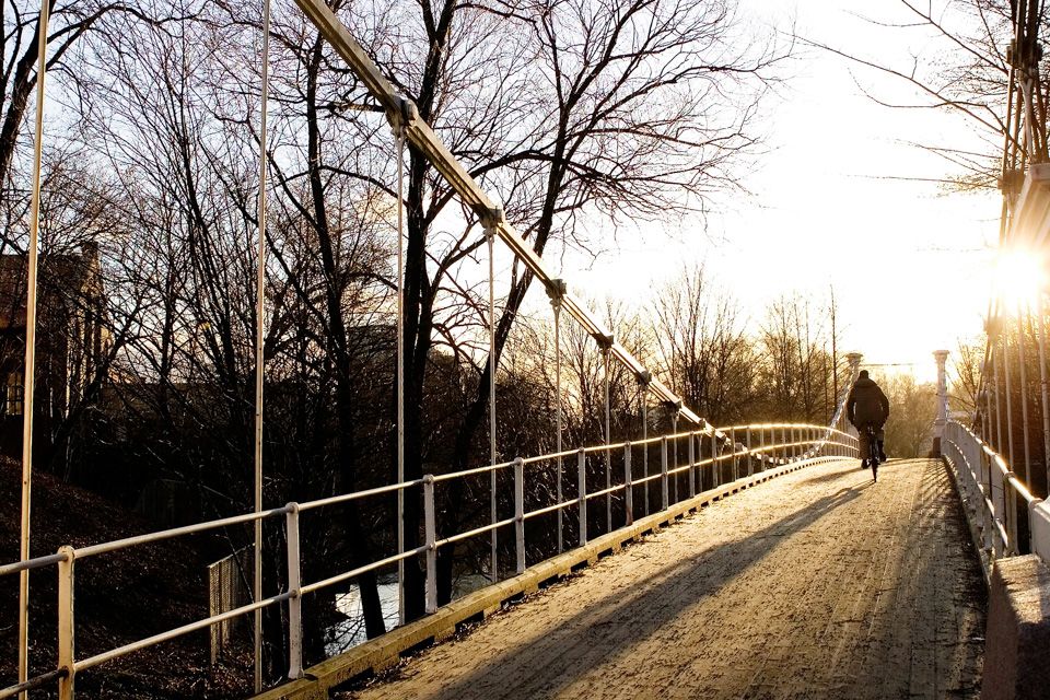Broen på en klar vinterdag, bare trær