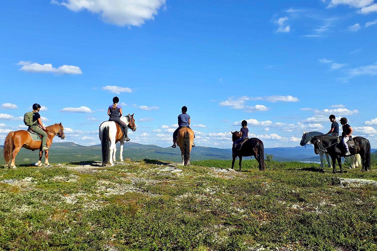 Fjellridning om sommeren.