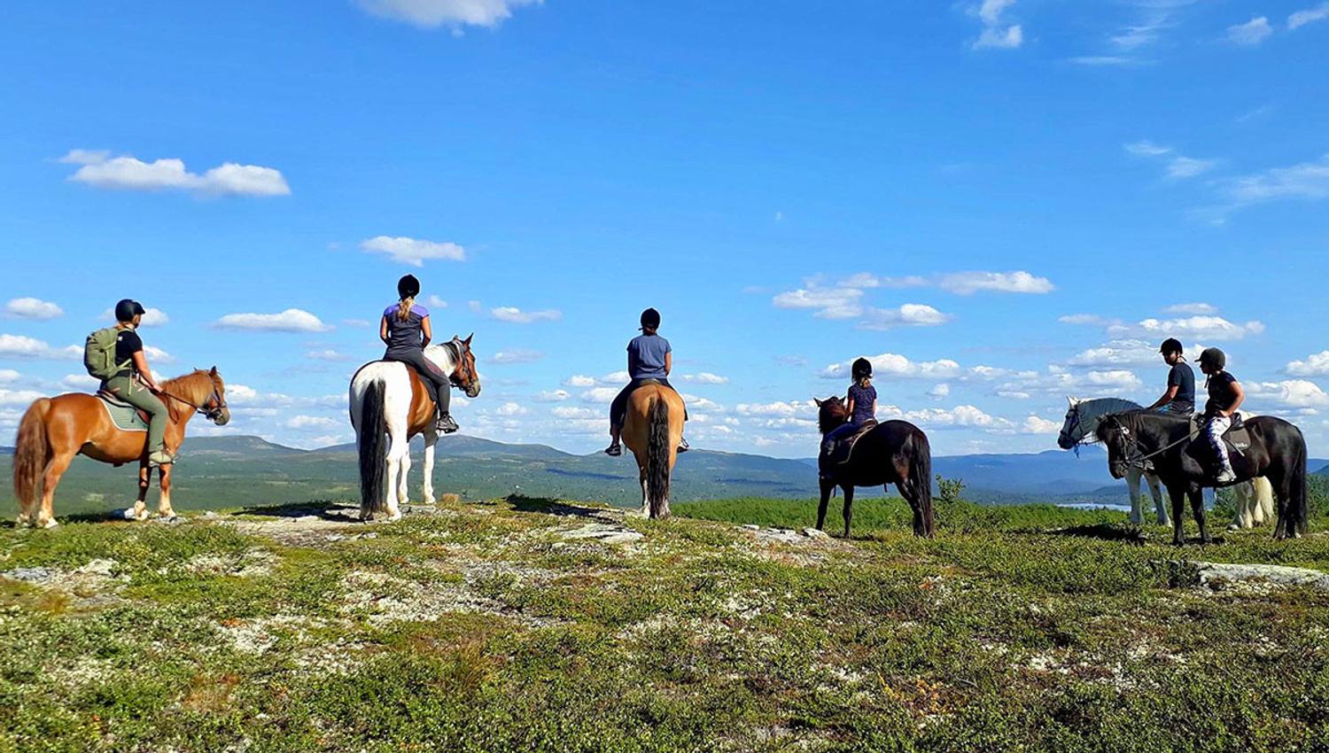 Fjellridning om sommeren.
