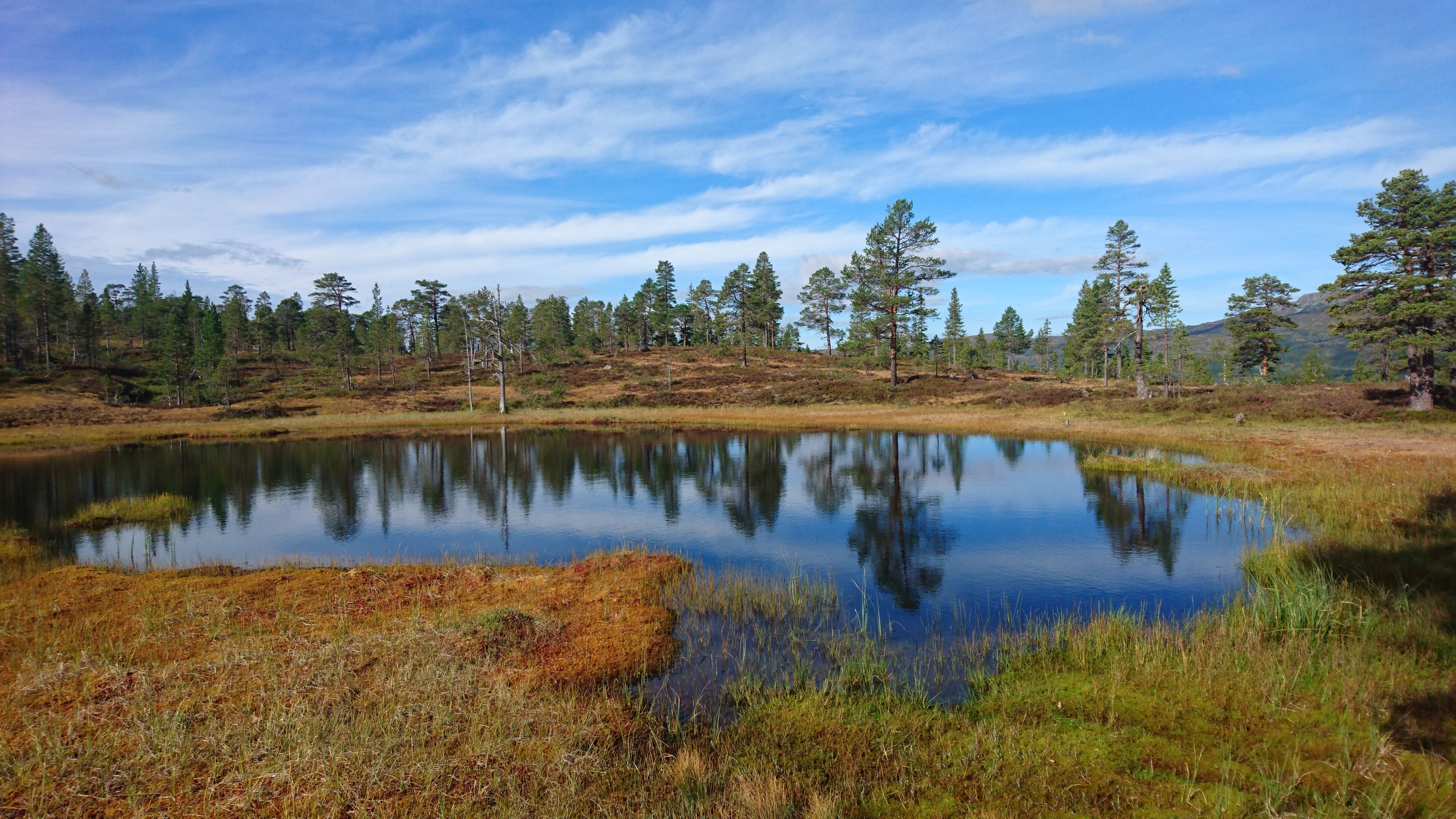 Fra Holsingseteren kan man gå til Ogndalen, Steinkjer