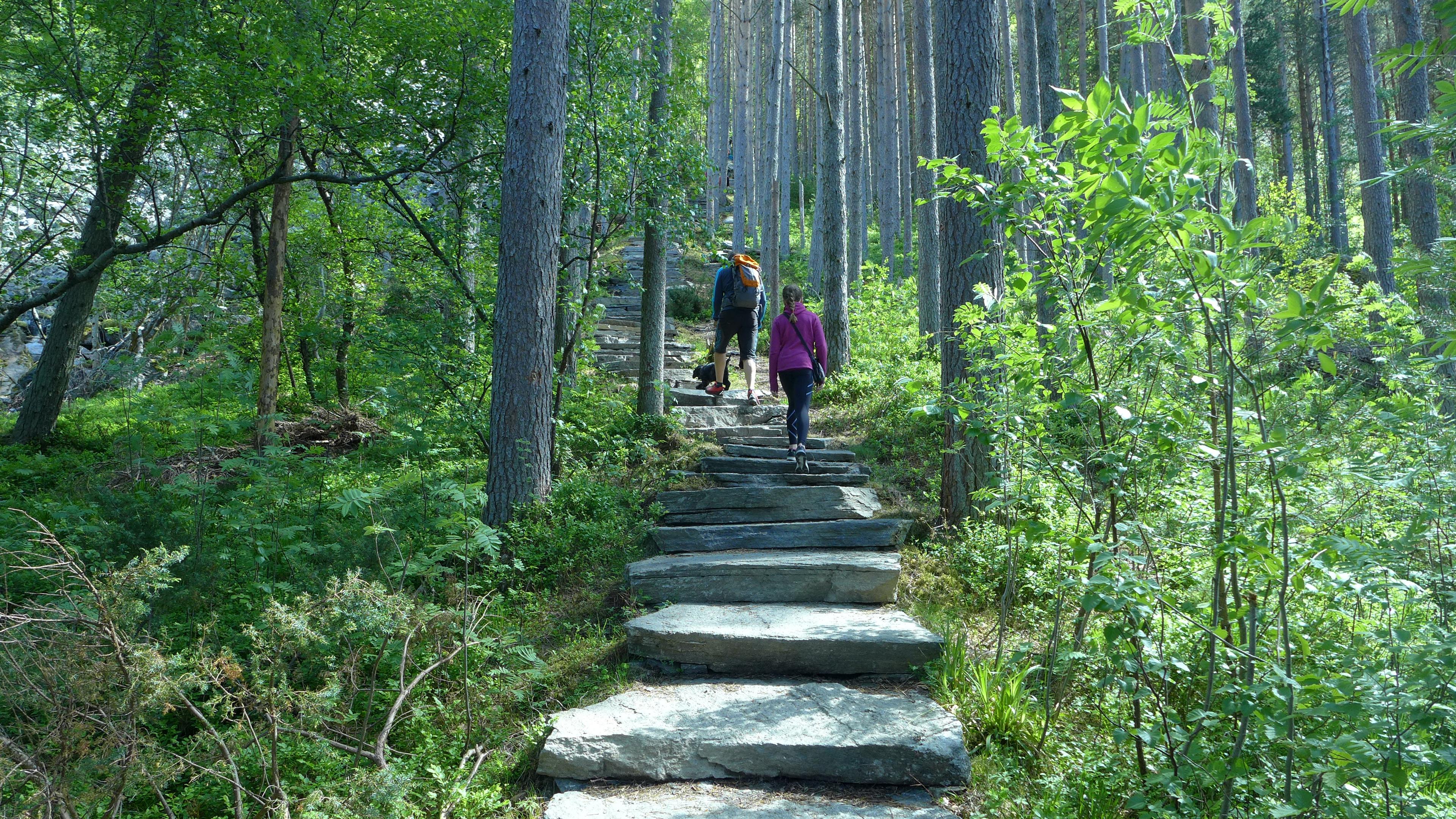 Public bus to hike: Digergubben - One of the Midsund Steps