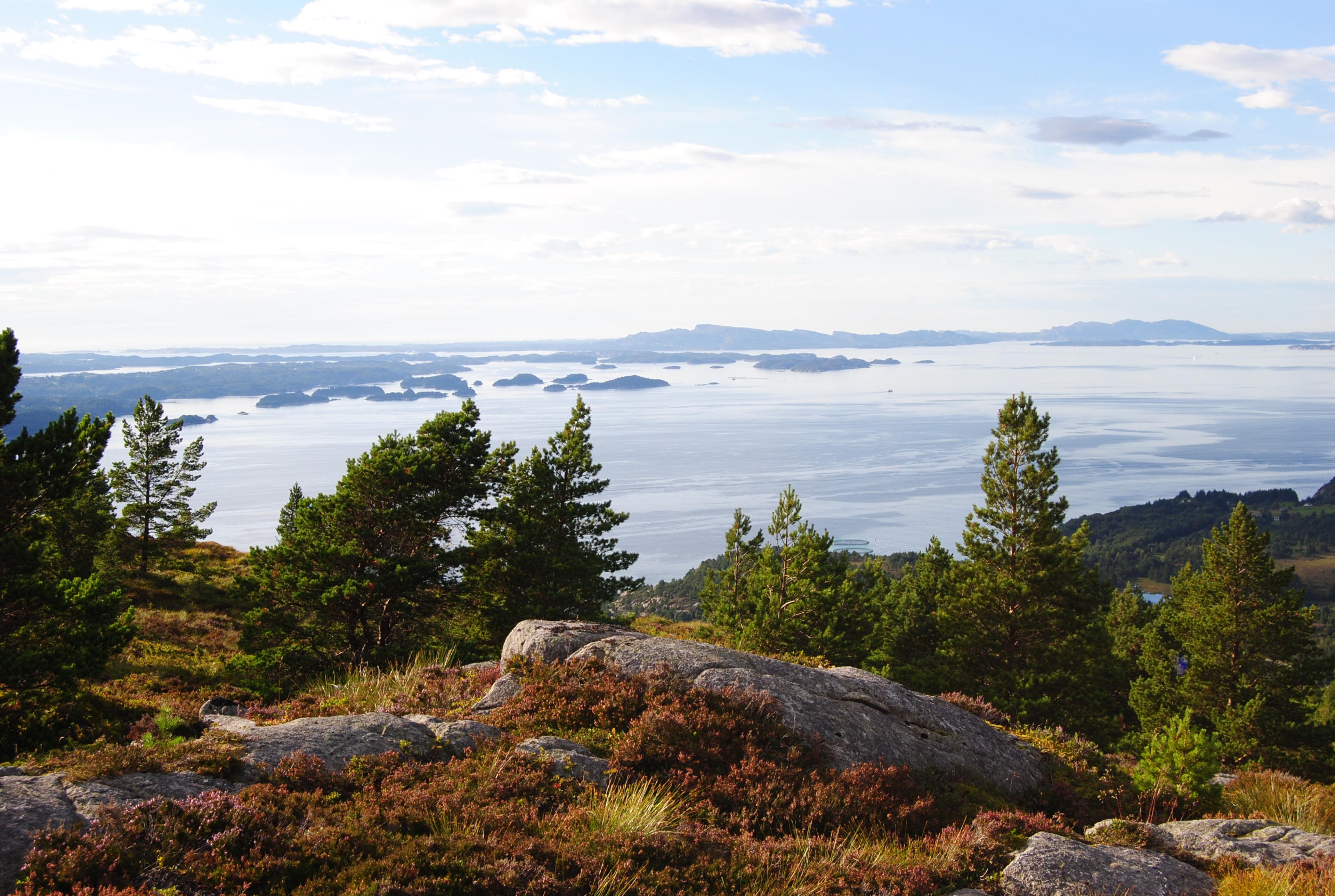 Hike to Gjøvågsvarden