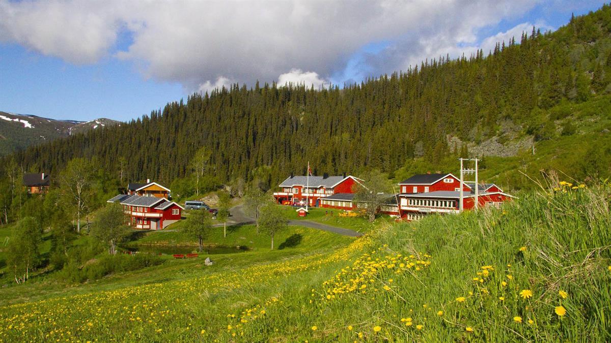 Rødmalt fjellstue i en grønn li med blomstrende løvetann og skog i bakgrunnen.