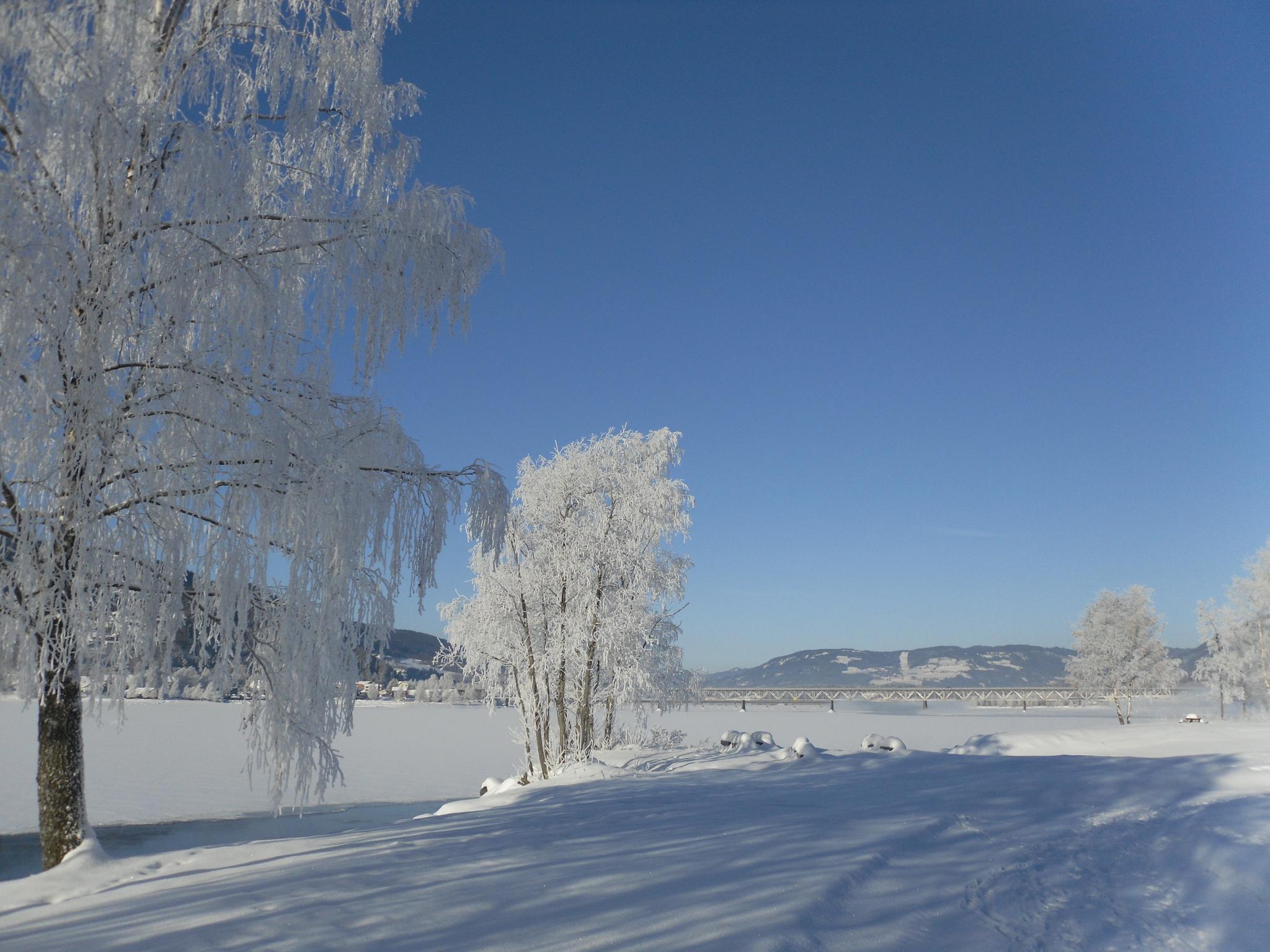 Vinter langs Mjøsa