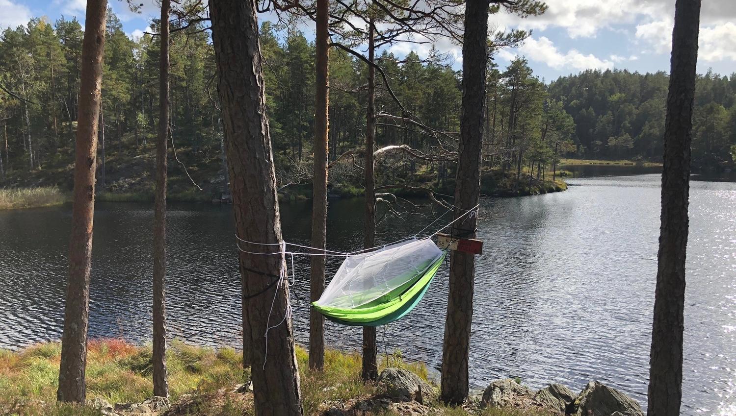 Hengekøye i skogen