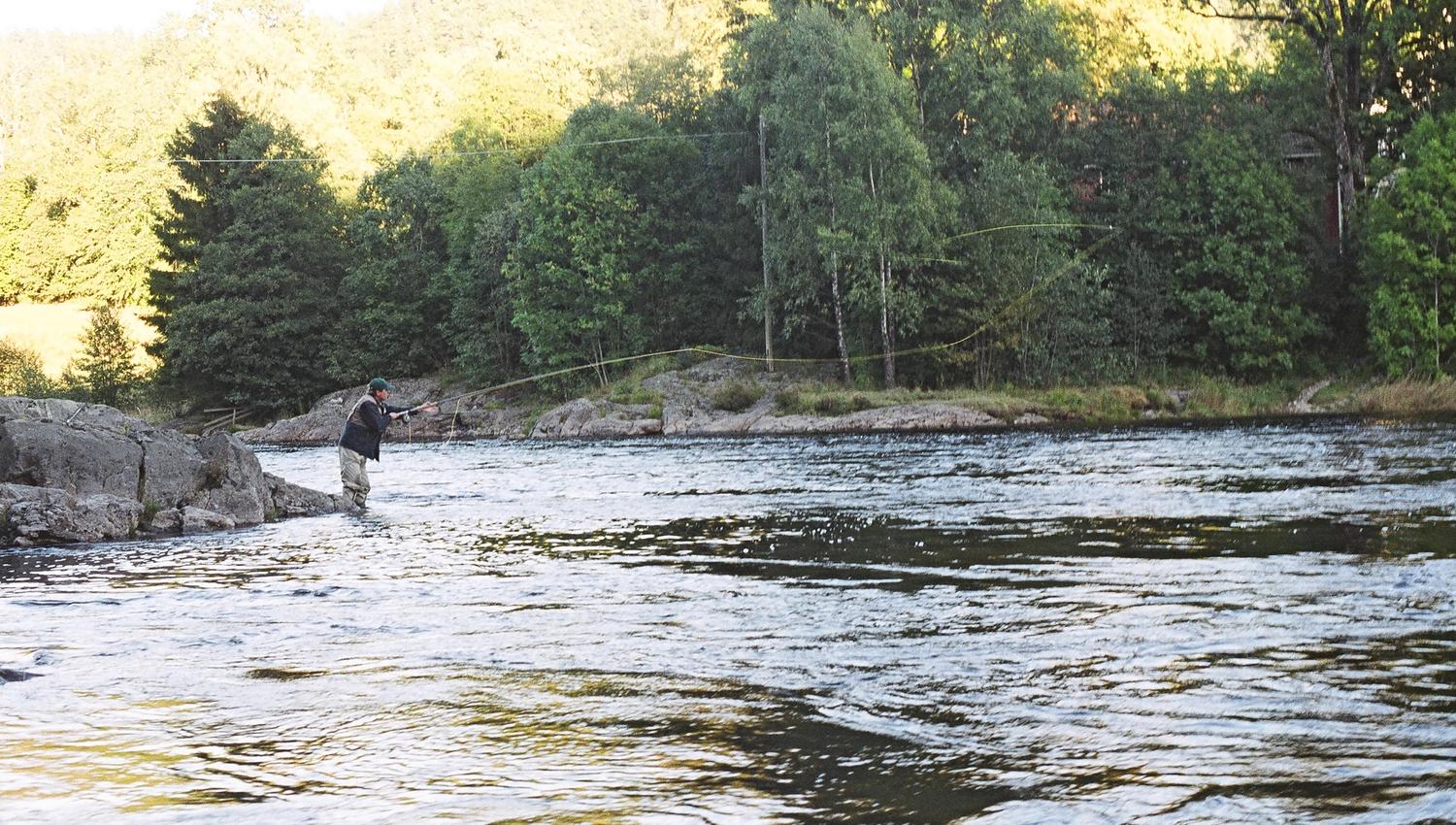 Laksefiske i Otra