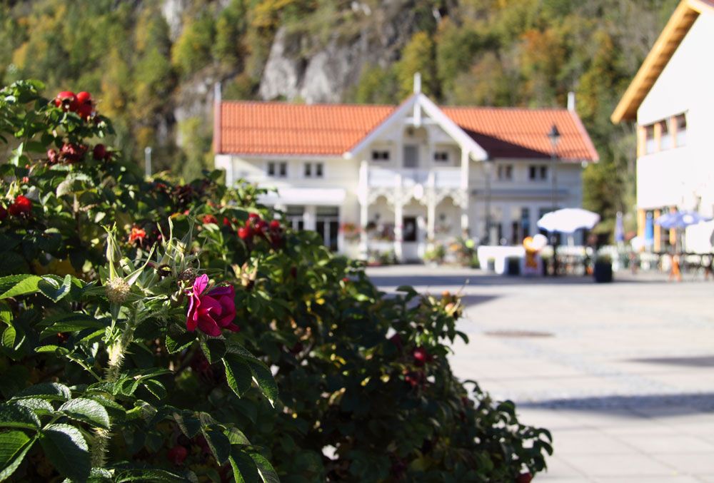 hus på Dalen om sommeren