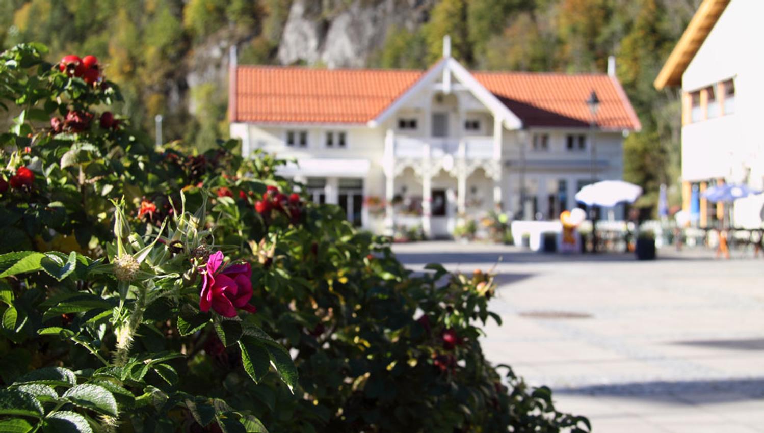 hus på Dalen om sommeren