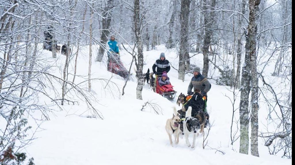 Guests on a sled being pulled huskies