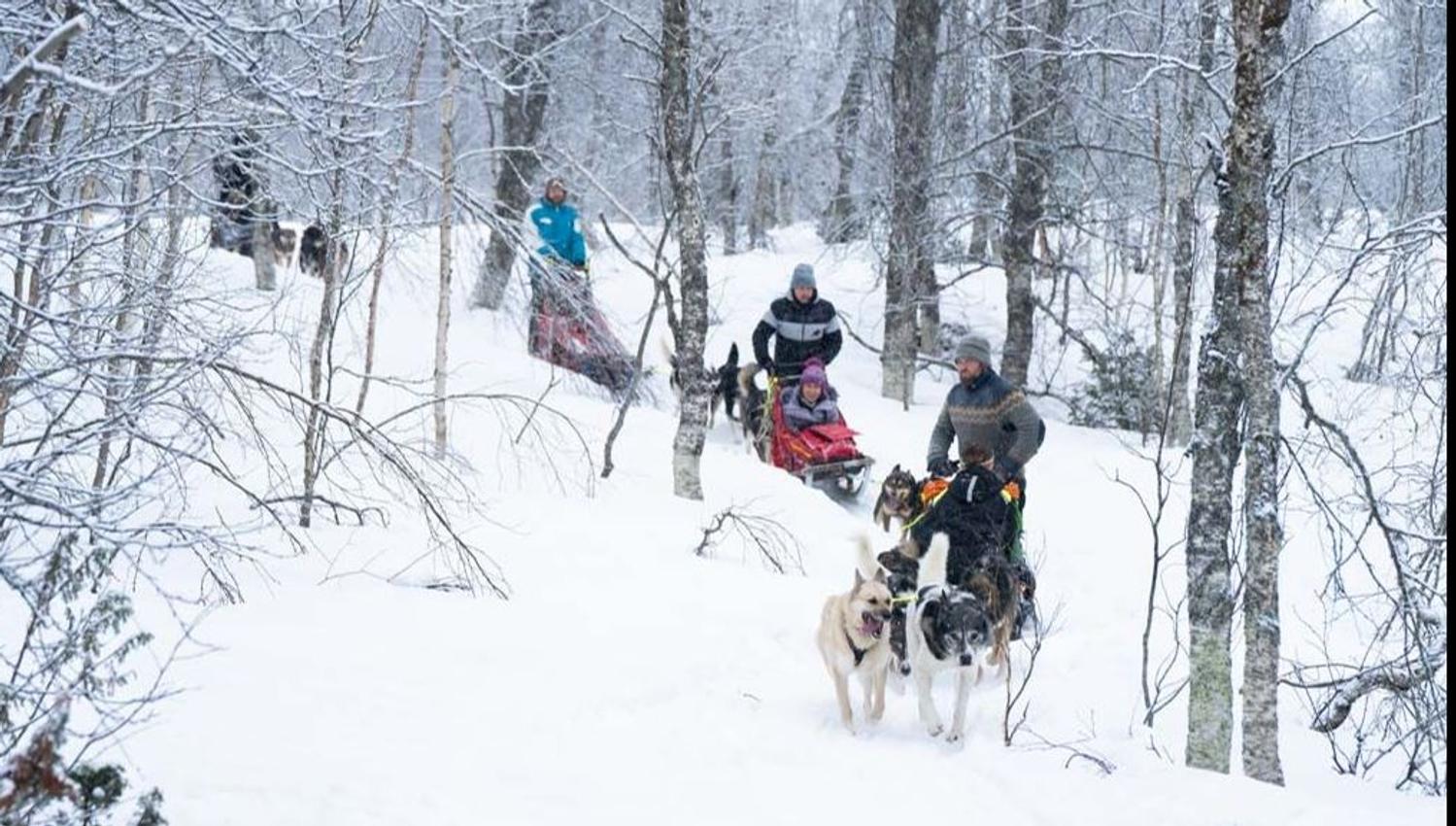 Guests on a sled being pulled huskies
