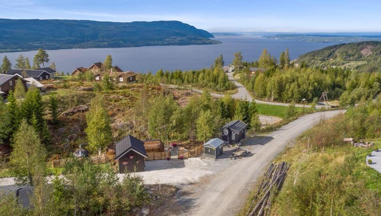 Aerial view of cabins and forest with a lake and mountains in the distance.