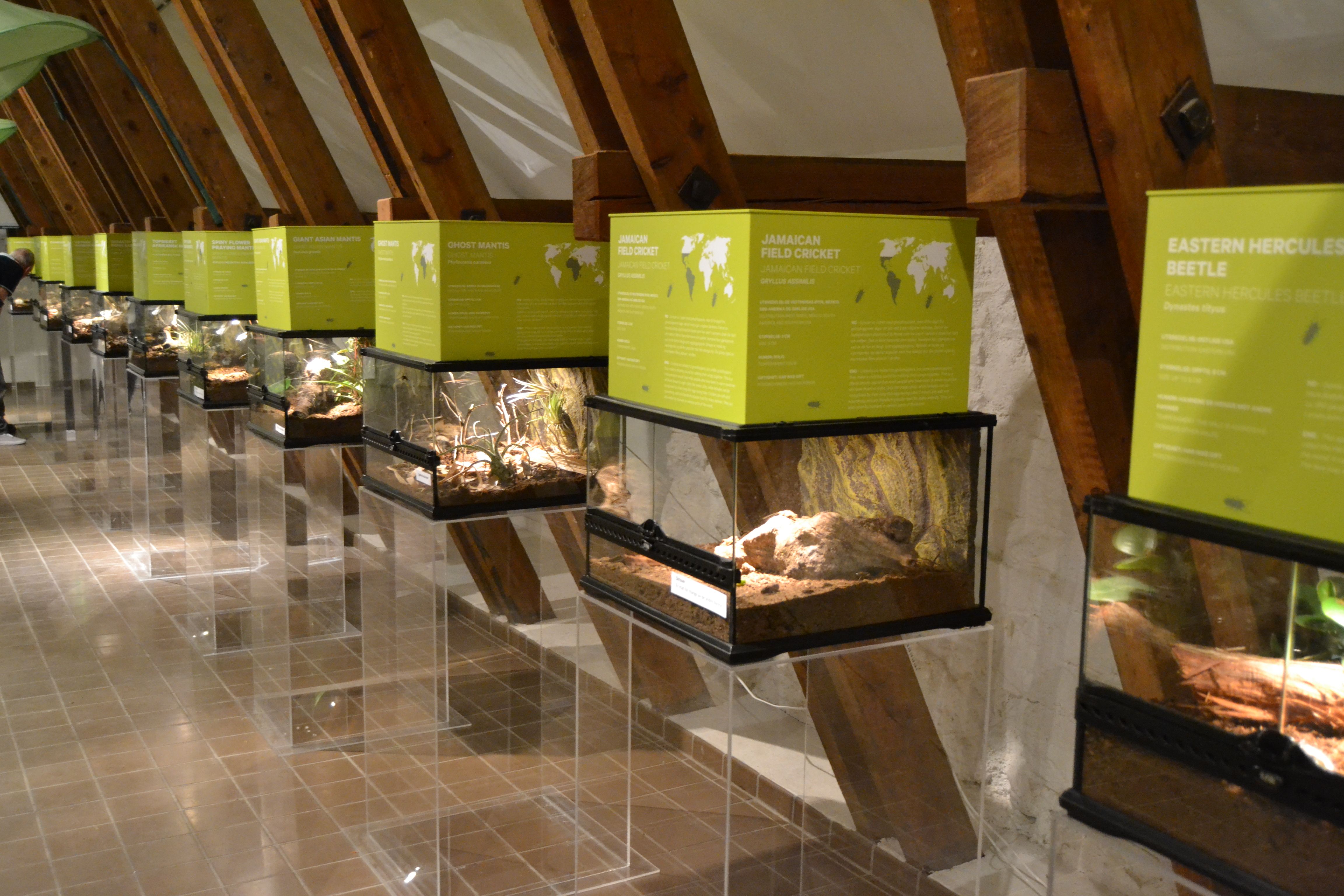 Naturmuseum og botanisk hage, Universitetet i Agder