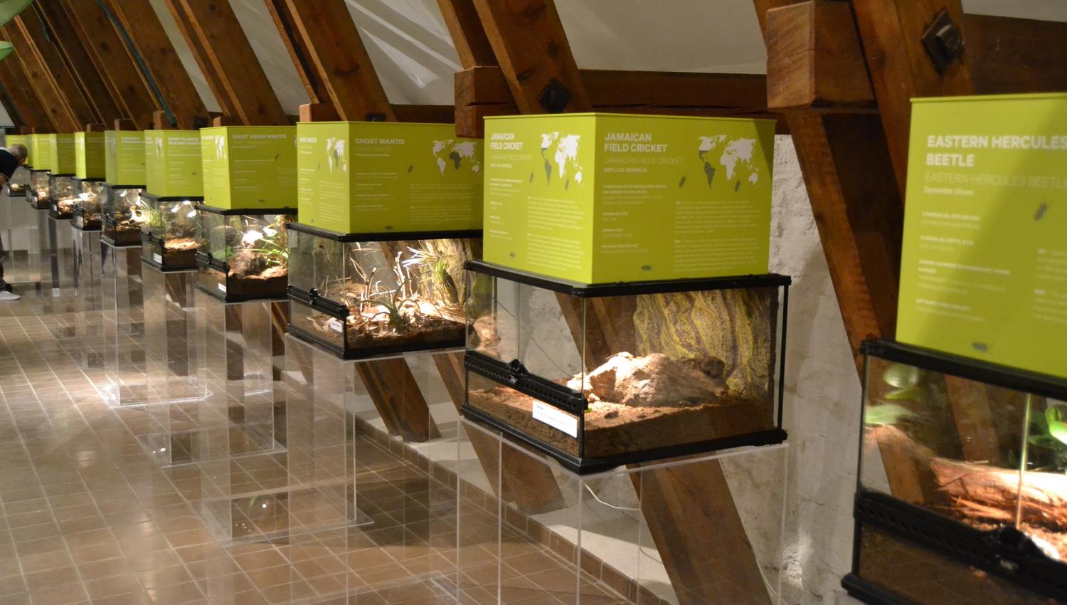 Naturmuseum og botanisk hage, Universitetet i Agder