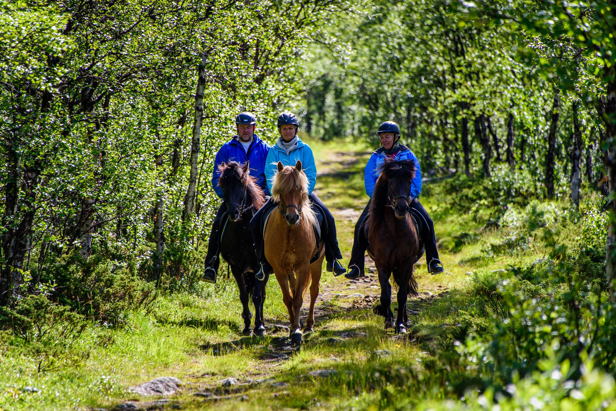 _IB81443-IanBrodie-VisitLillehammer