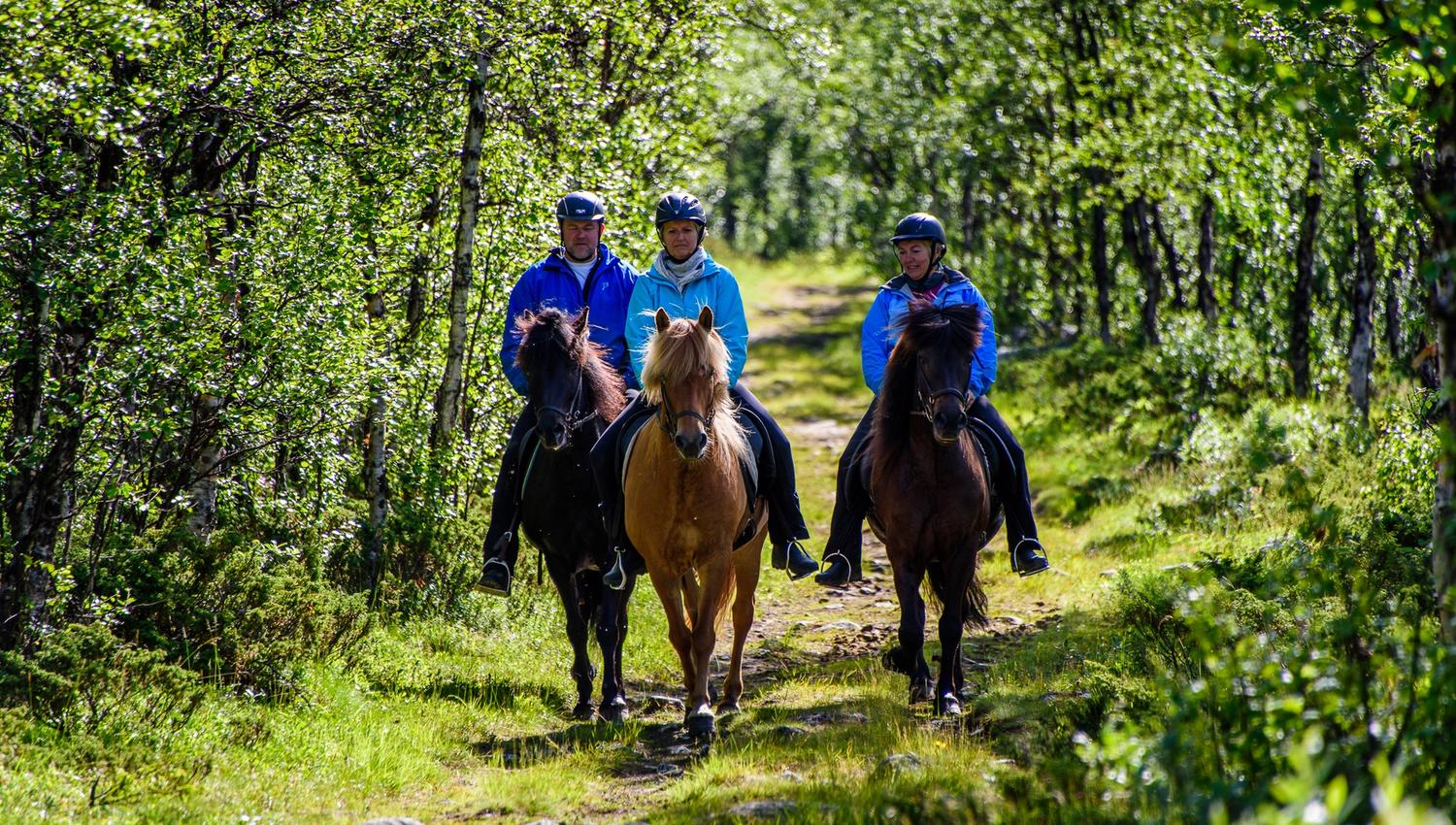 _IB81443-IanBrodie-VisitLillehammer