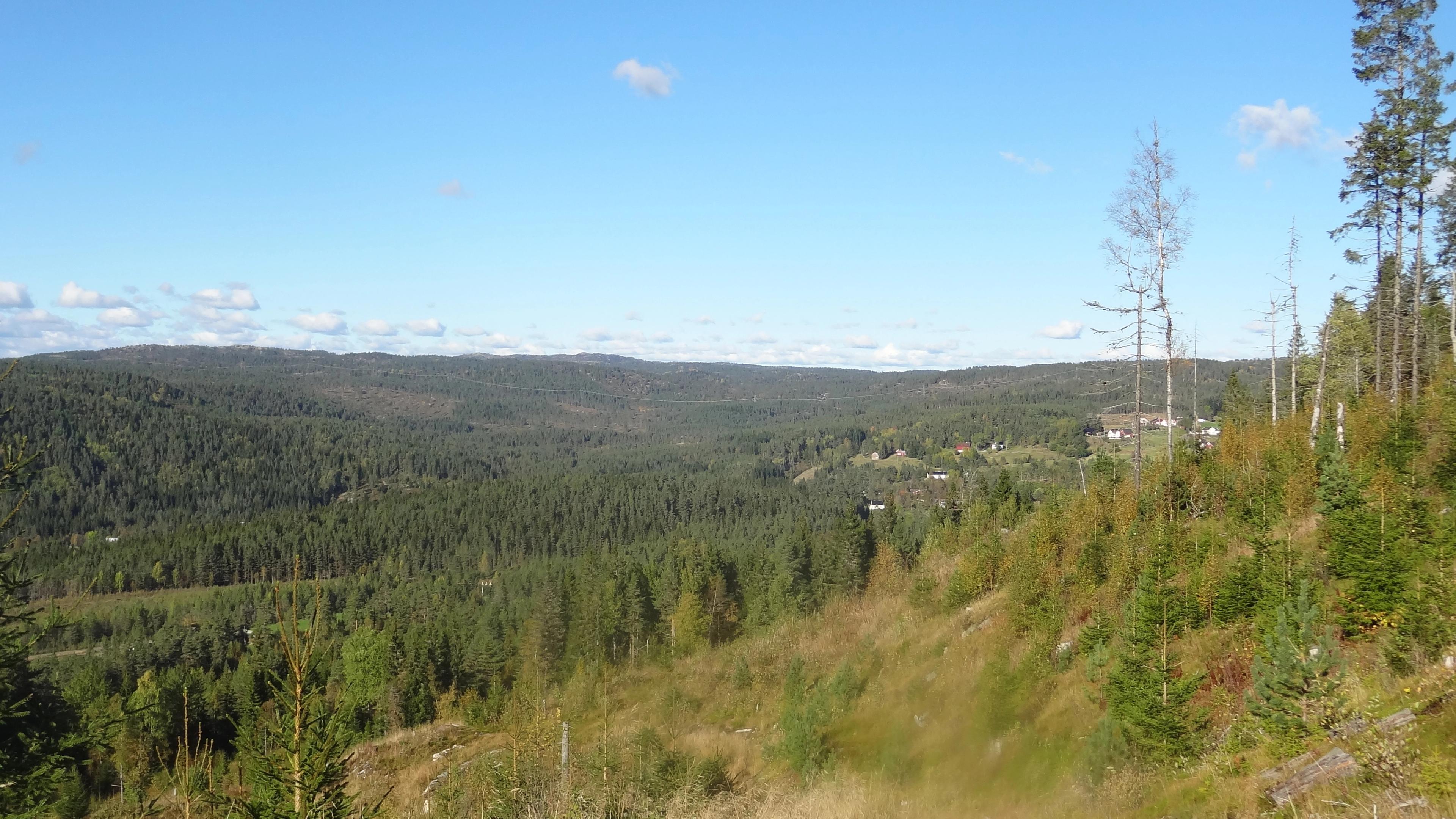 Utsikt fra Allmannavegen