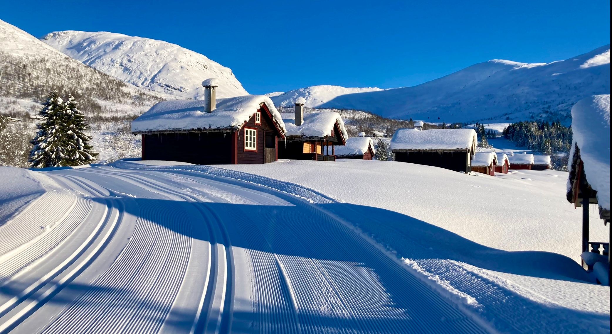 Flotte langrennsløyper ikkje langt fra hyttefelta.