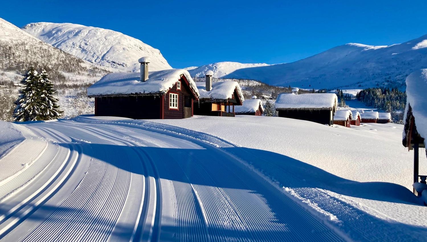 Flotte langrennsløyper ikkje langt fra hyttefelta.