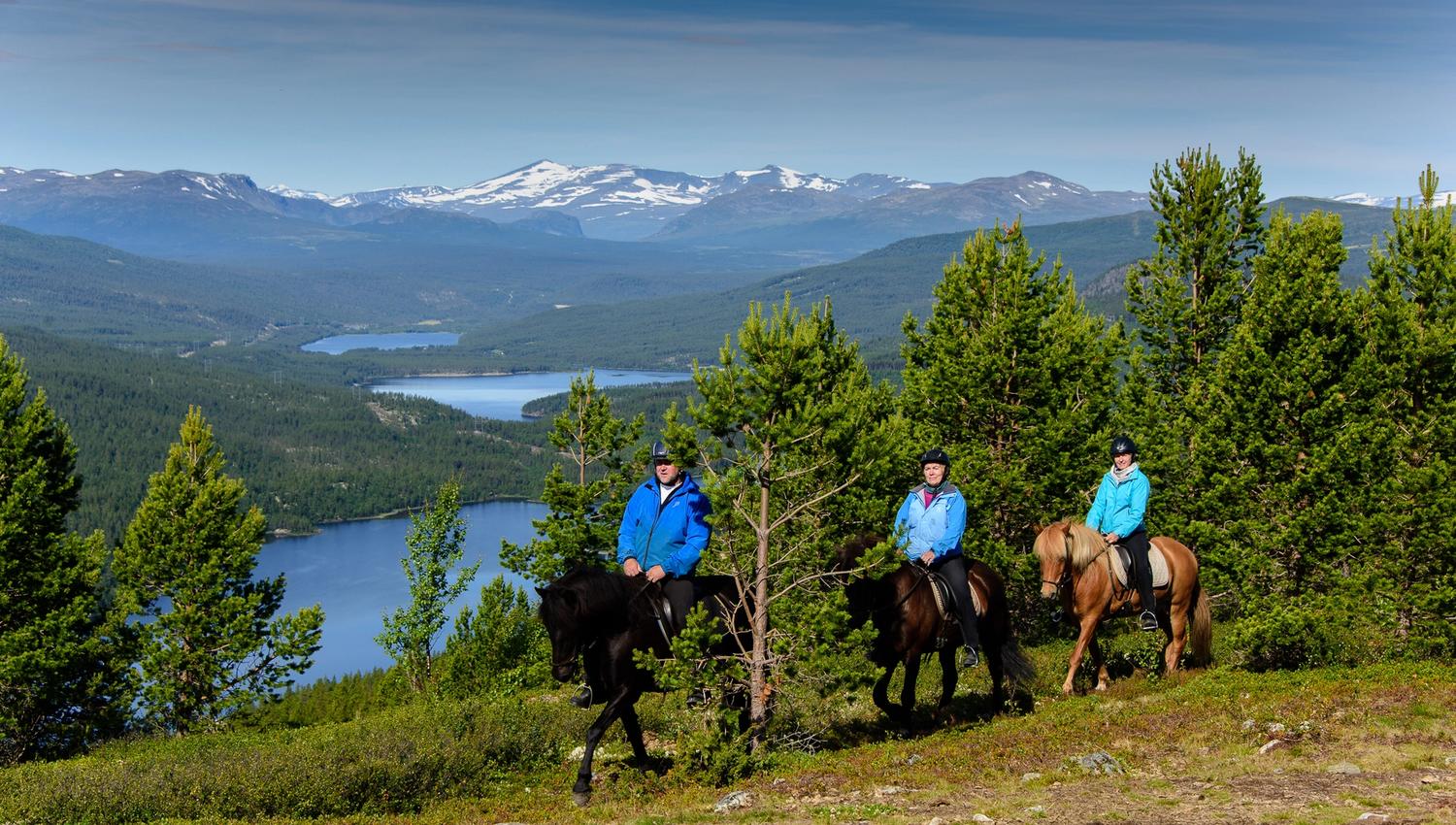 _IB81224-IanBrodie-VisitLillehammer