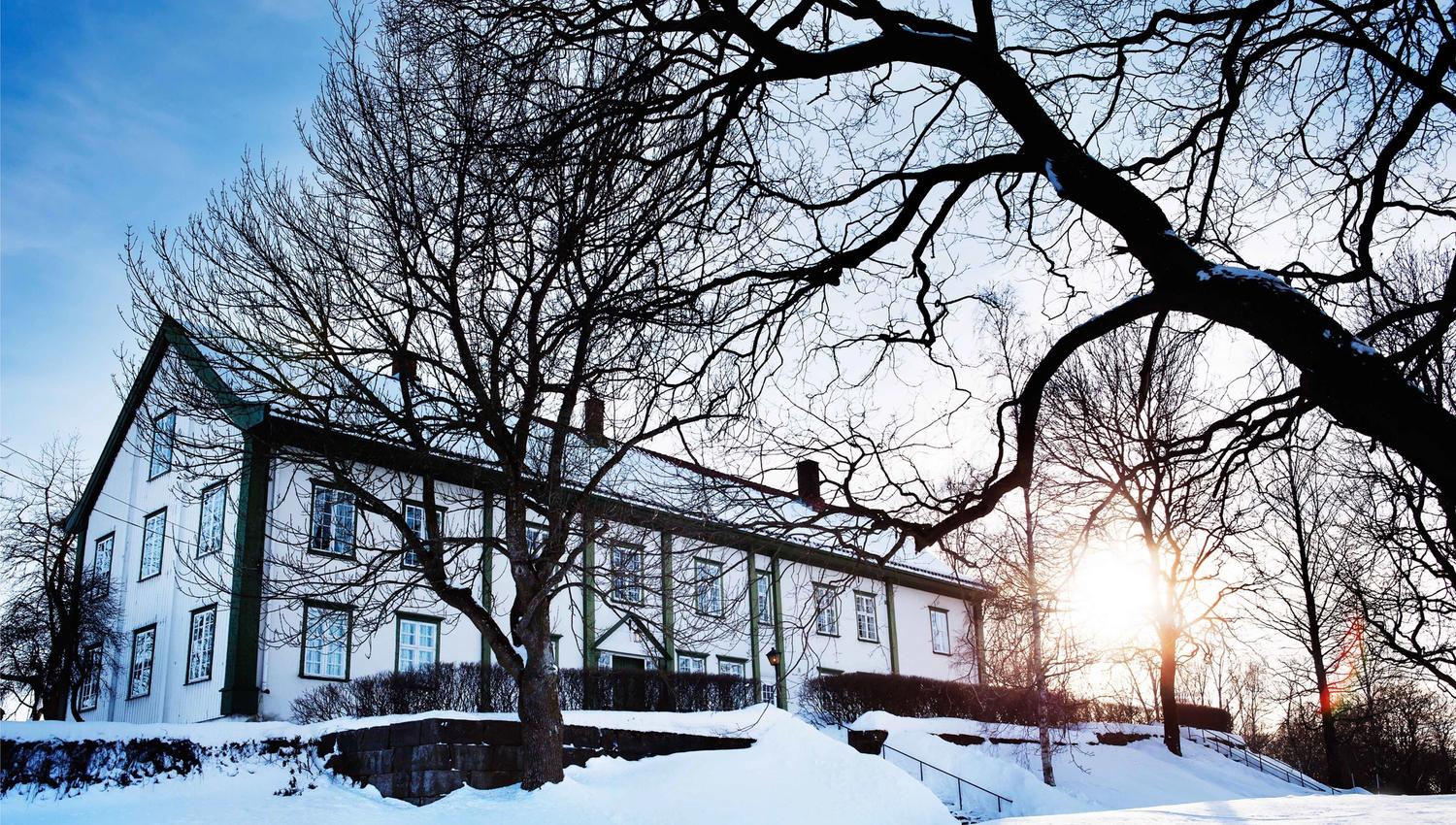 Hoel Gård - Vintersol