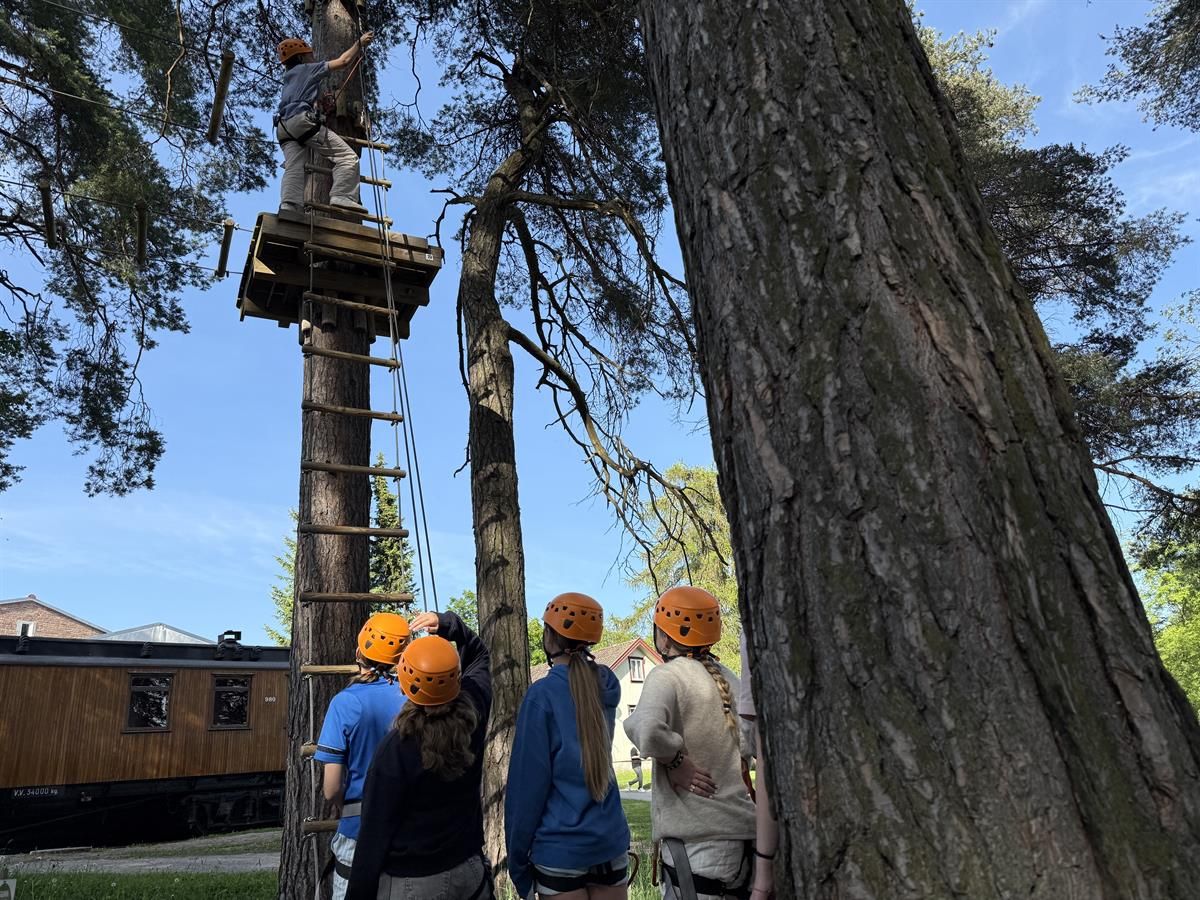 A group of people looking up at a tall platform in the climbing park.