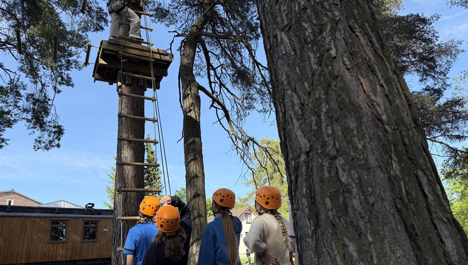 A group of people looking up at a tall platform in the climbing park.