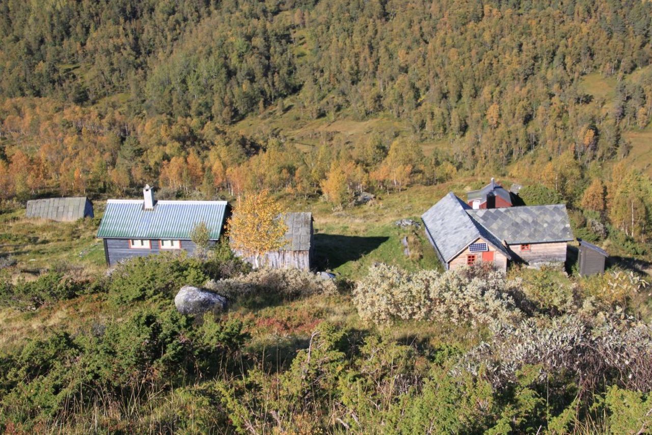 eggjasete, Sveinung Selsvik