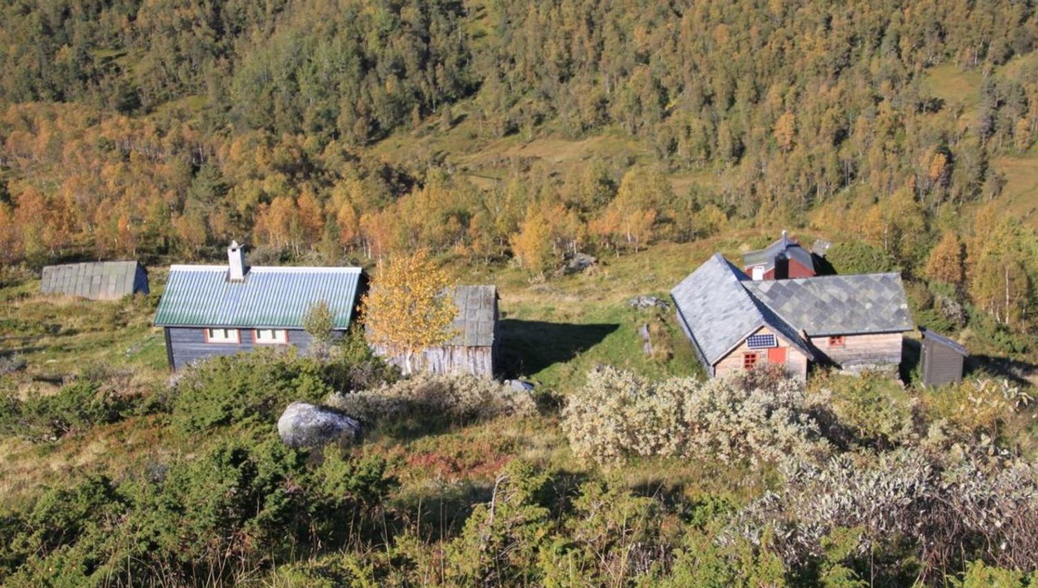 eggjasete, Sveinung Selsvik