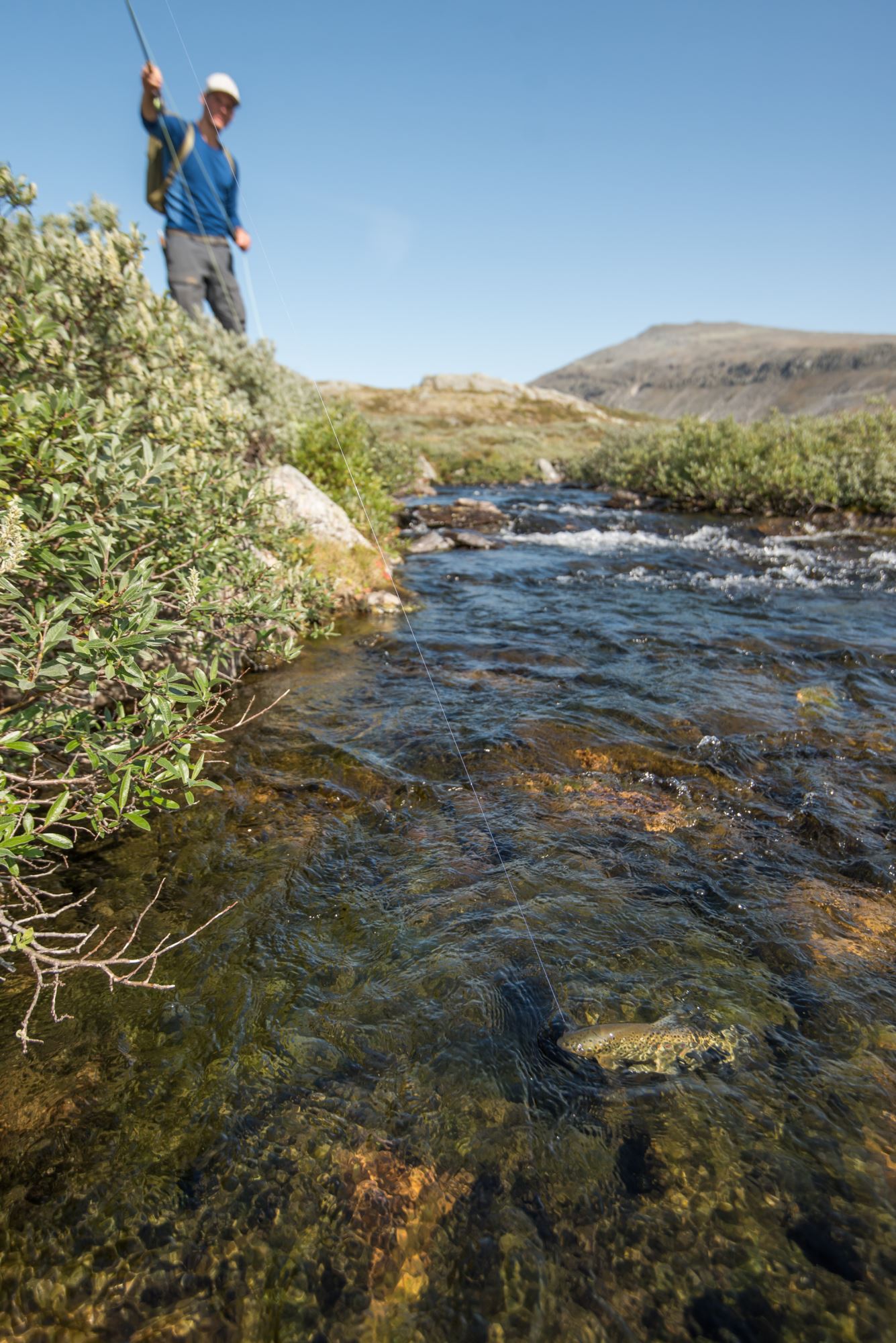 Fisketur med personlig guide