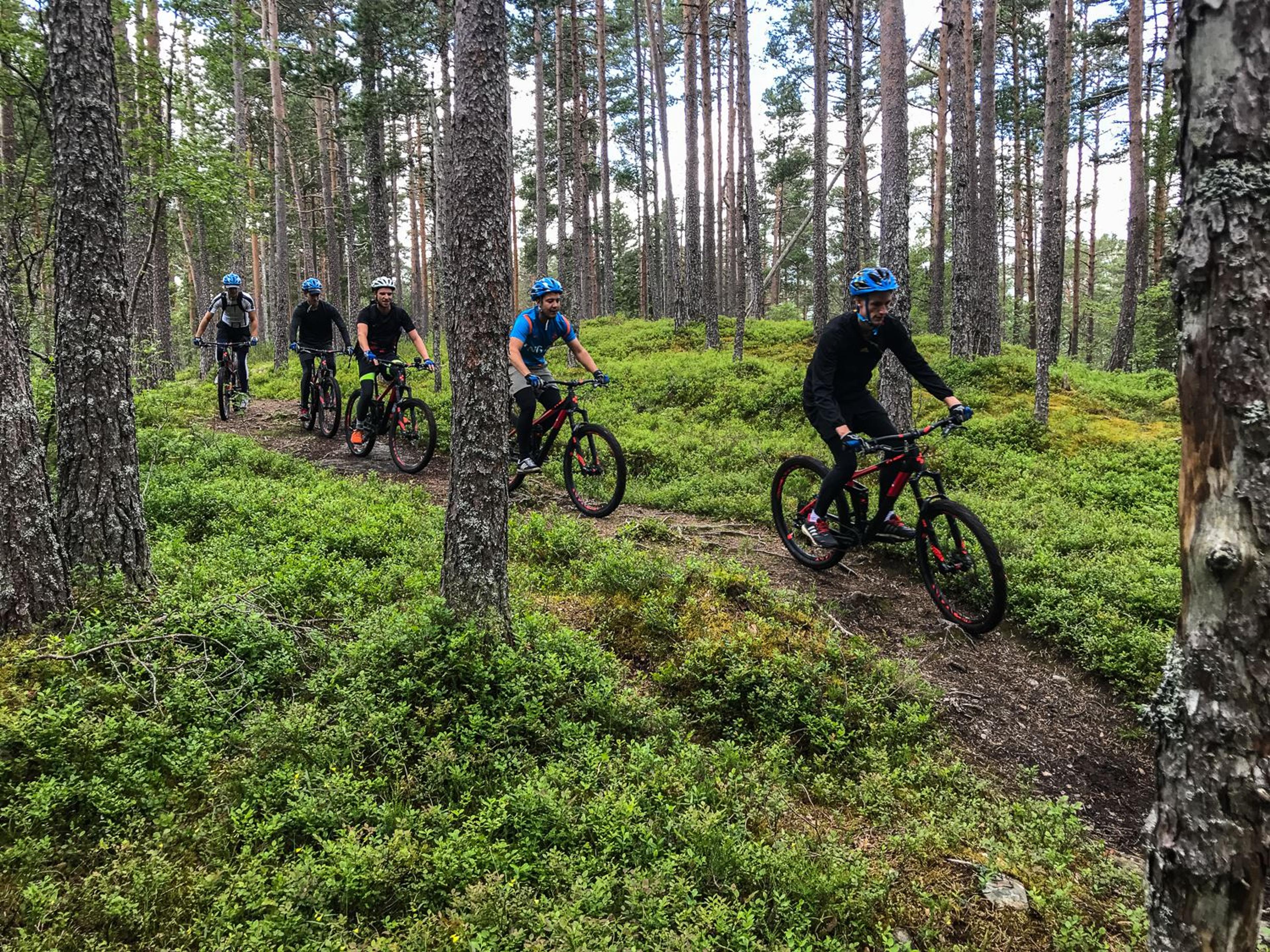 Guided MTB tours, Voss, Outdoor Norway