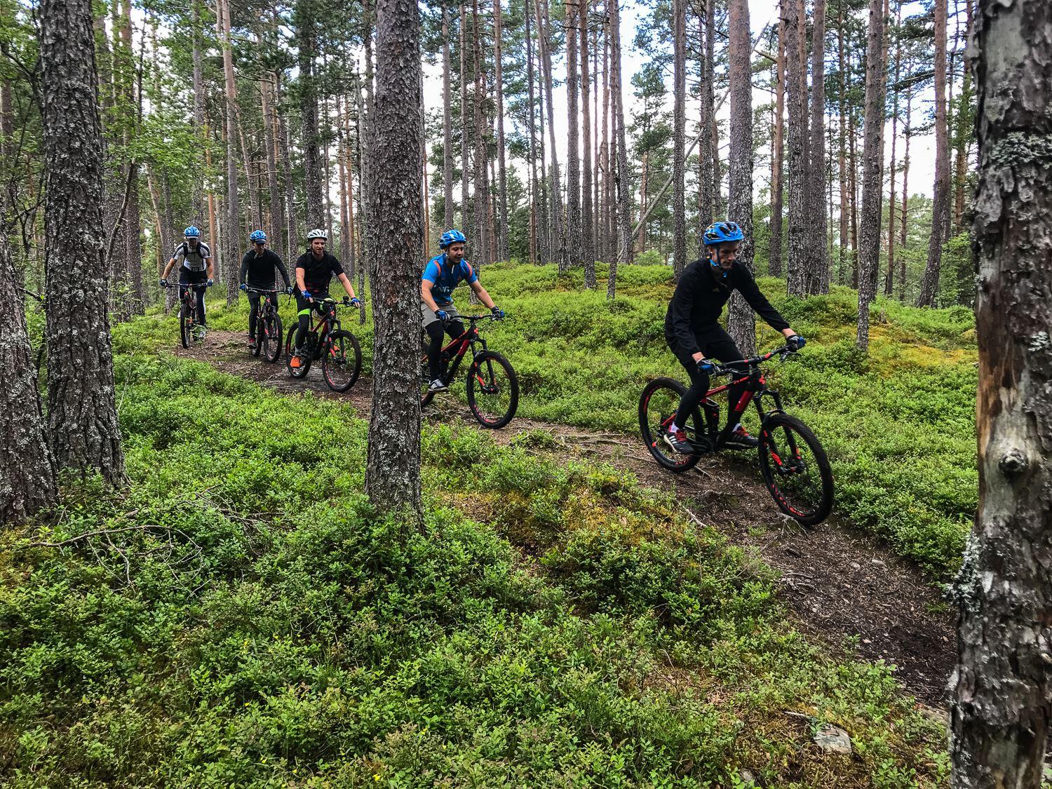 Guided MTB tours, Voss, Outdoor Norway