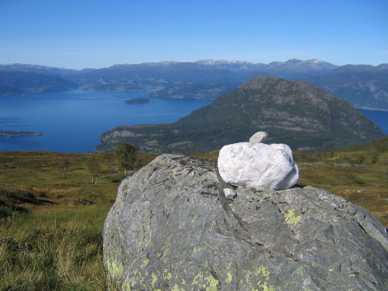 Kvitakjetto,. Sveinung Selsvik