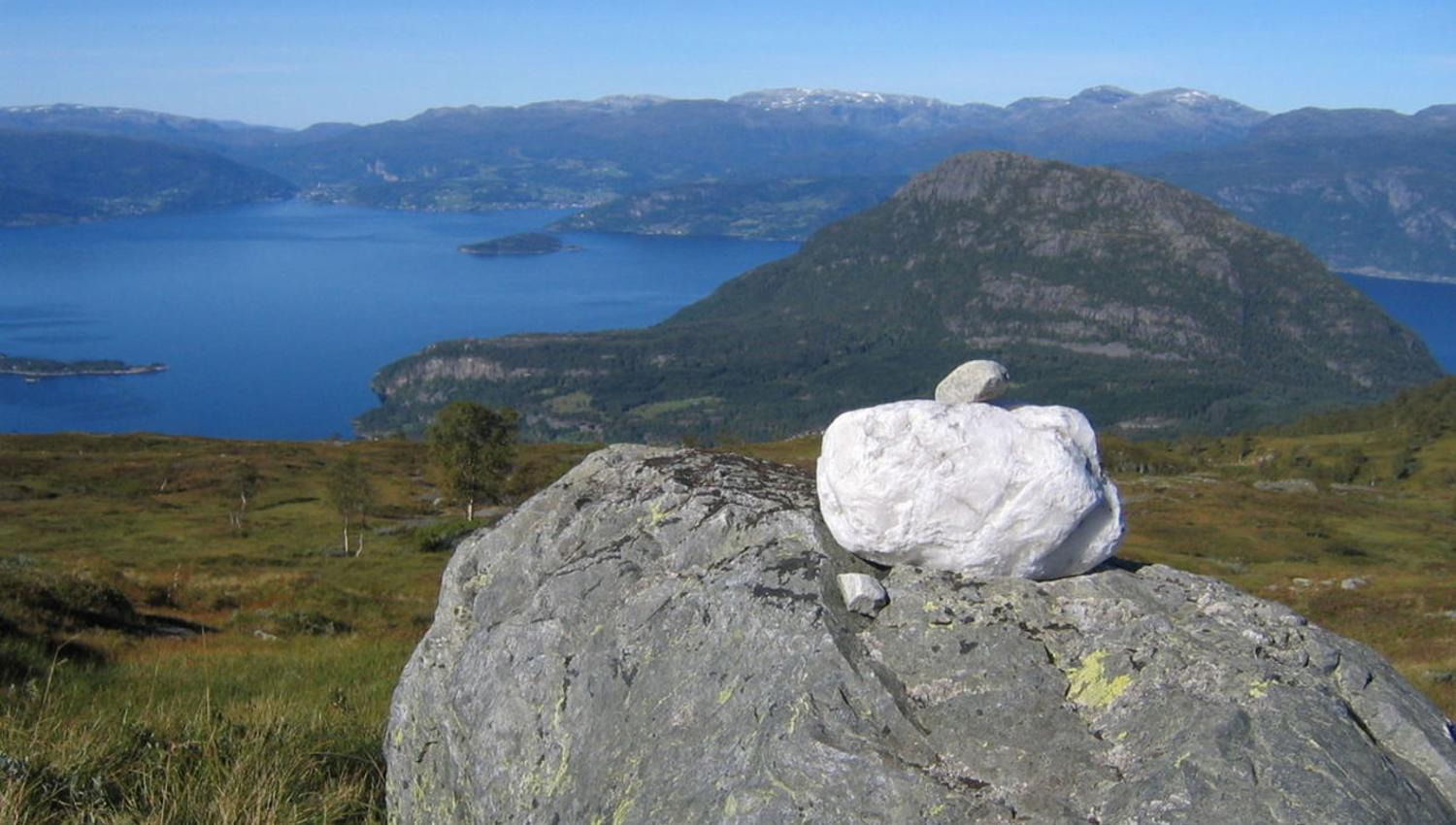 Kvitakjetto,. Sveinung Selsvik