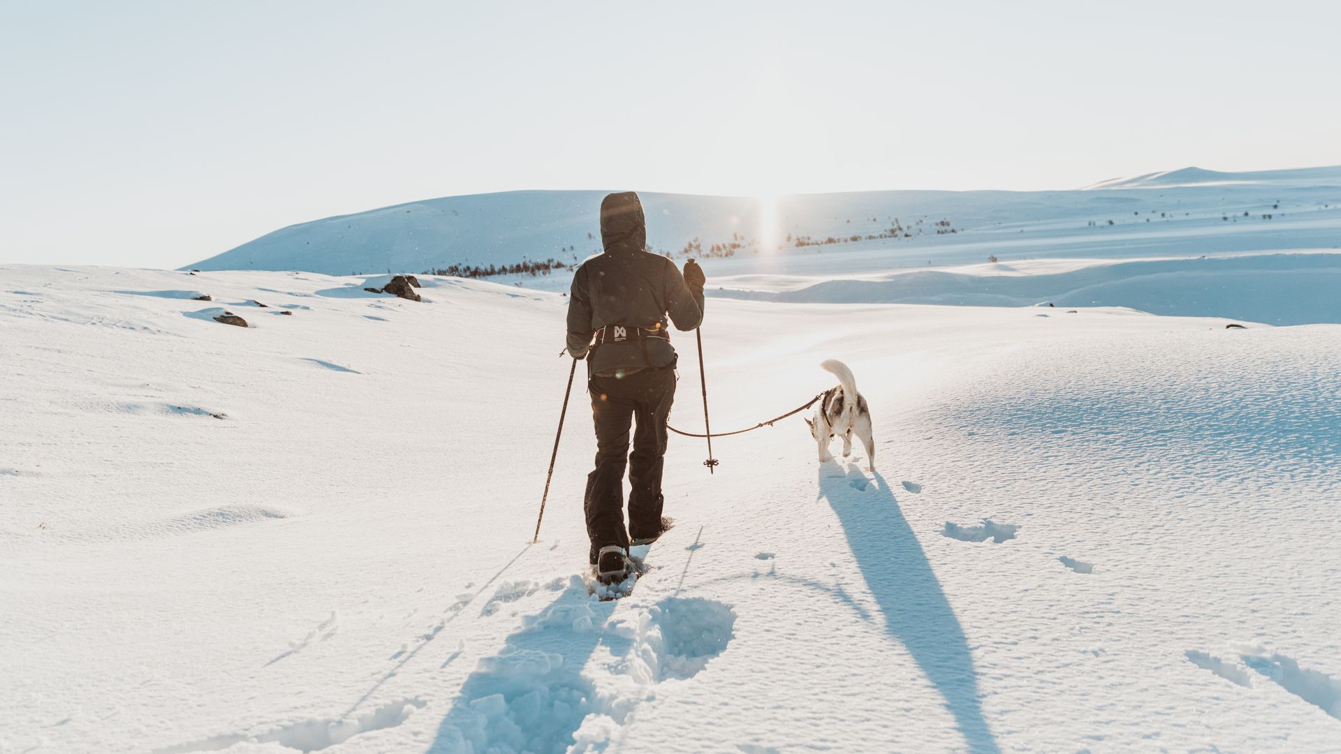 Trugetur