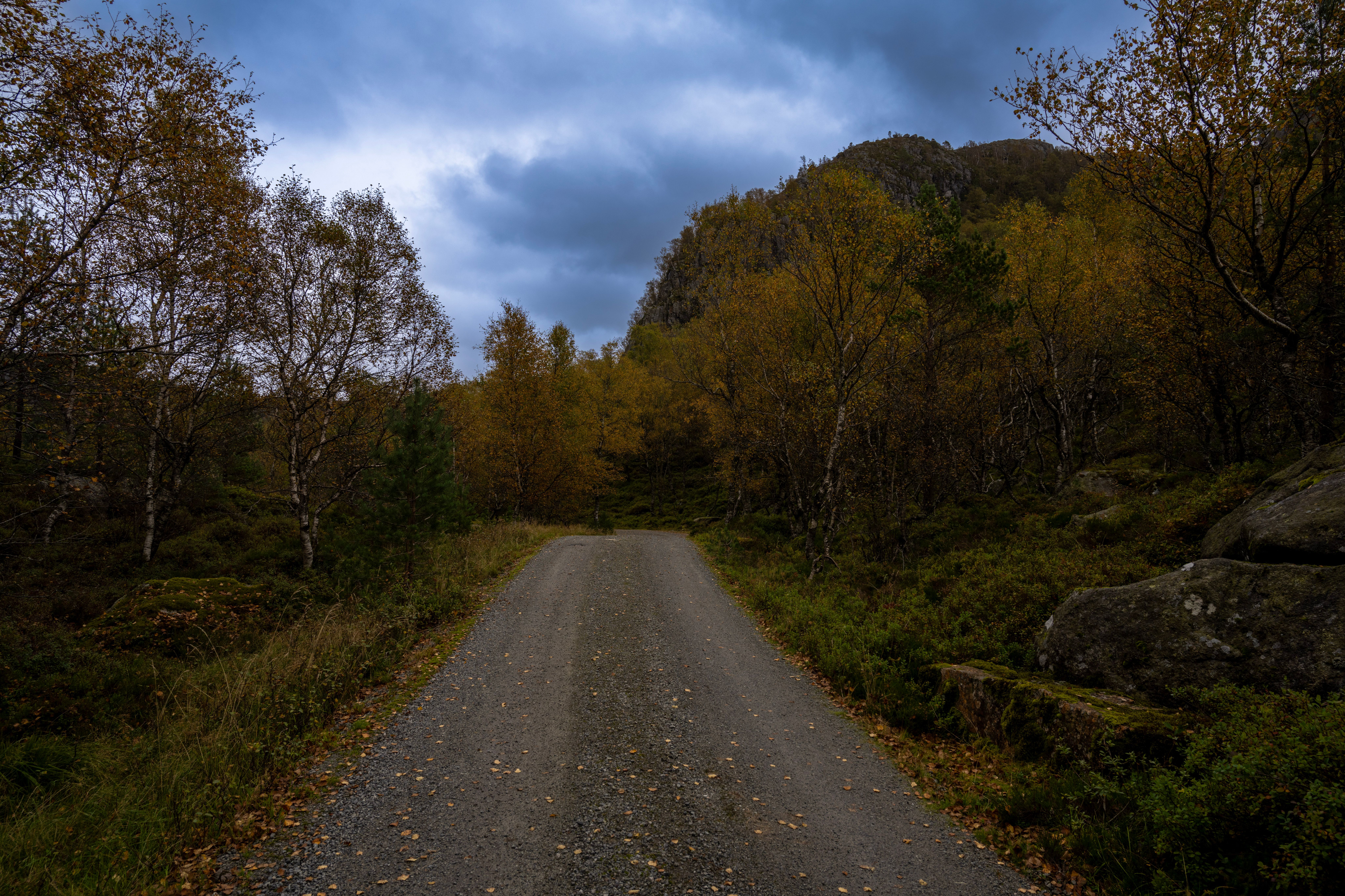 From dirt road to mountain and forest