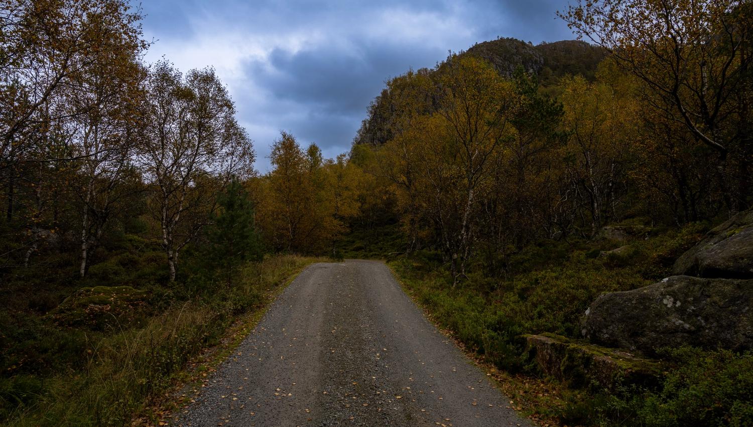 From dirt road to mountain and forest