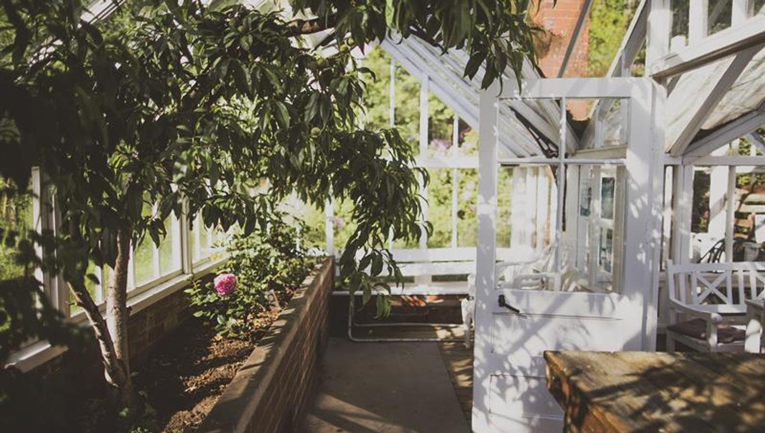 Inni drivhuset, blomsterbed på venstre side med planter, og hvit dør ut av drivhuset