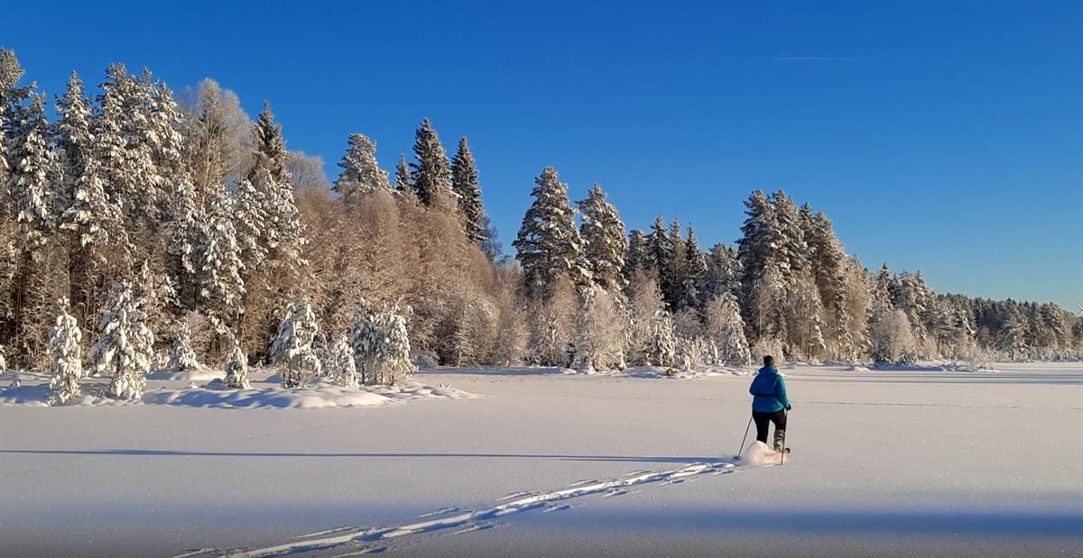 Trugetur på islagt innsjø