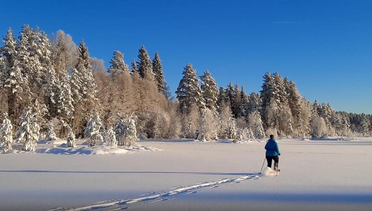 Trugetur på islagt innsjø