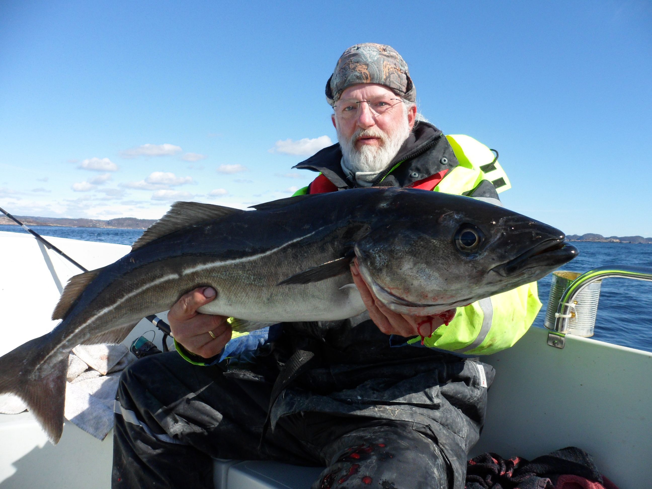 
A man who has caught a large pollock